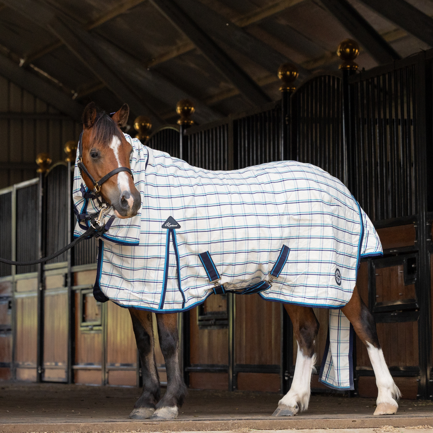 The Original Earlwood Dual Season WOOL Lined Combo