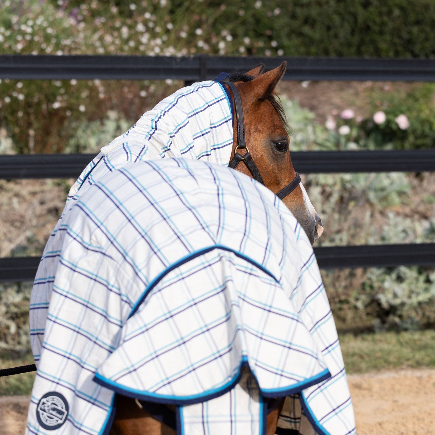 The Original Earlwood Dual Season WOOL Lined Combo