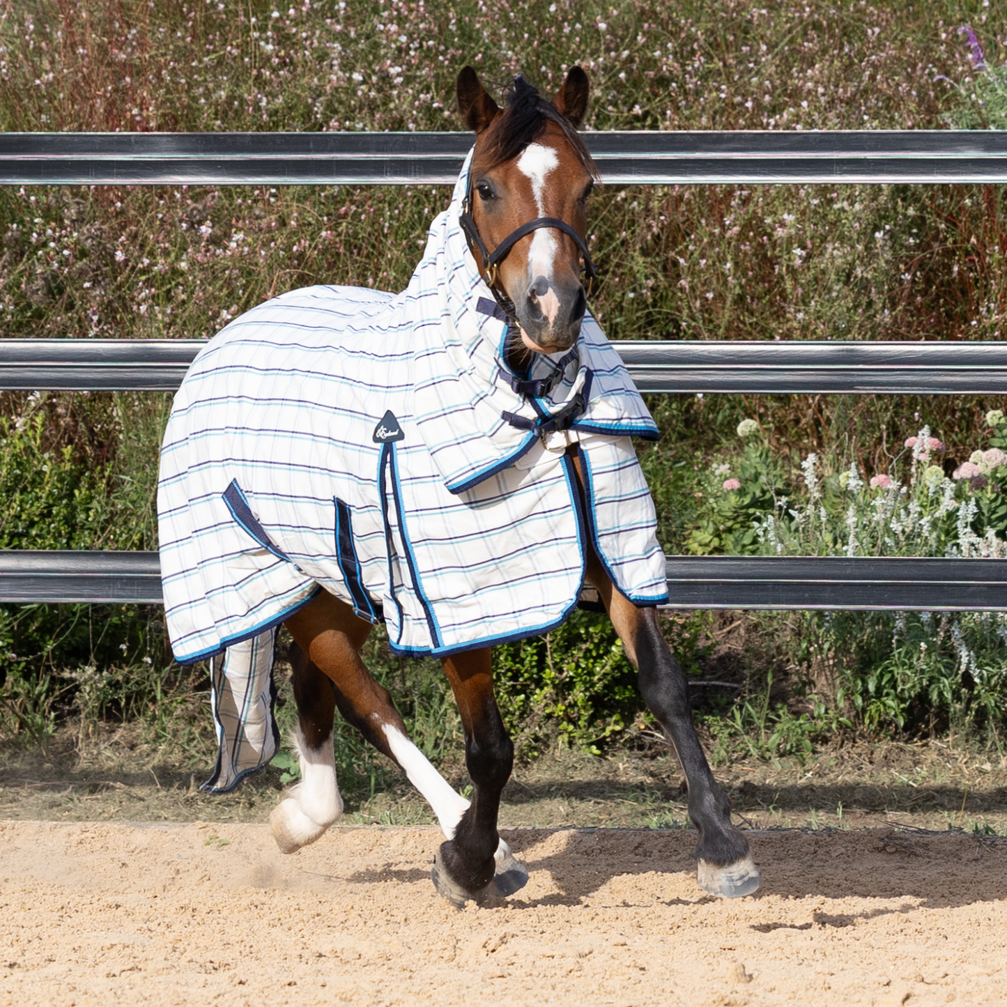 The Original Earlwood Dual Season WOOL Lined Combo
