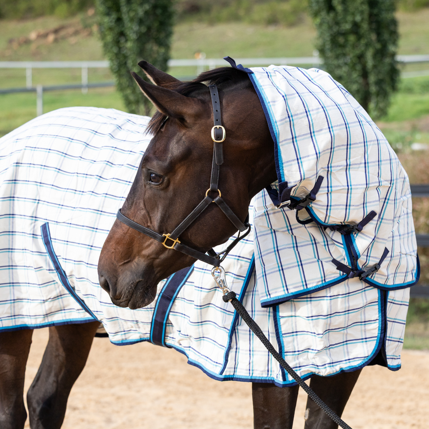 The Original Earlwood Dual Season WOOL Lined Combo