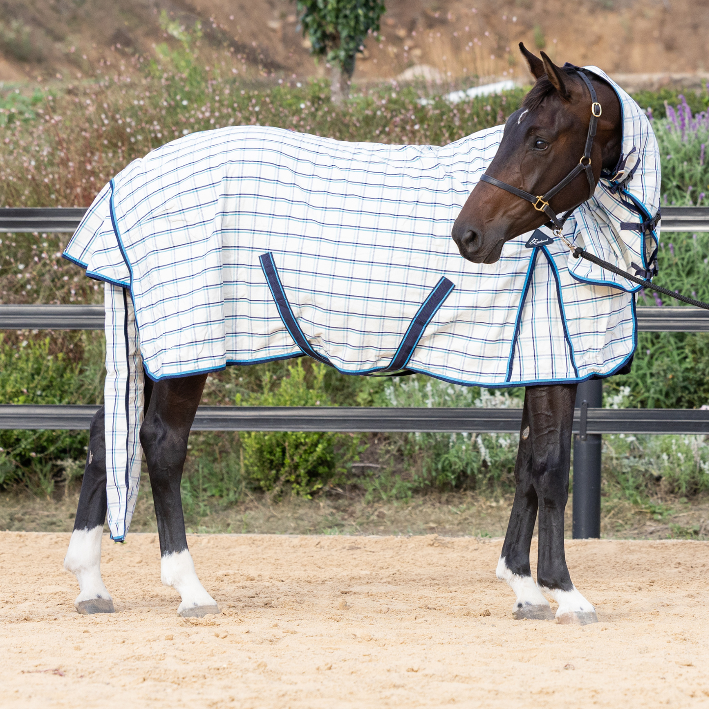 The Original Earlwood Dual Season WOOL Lined Combo