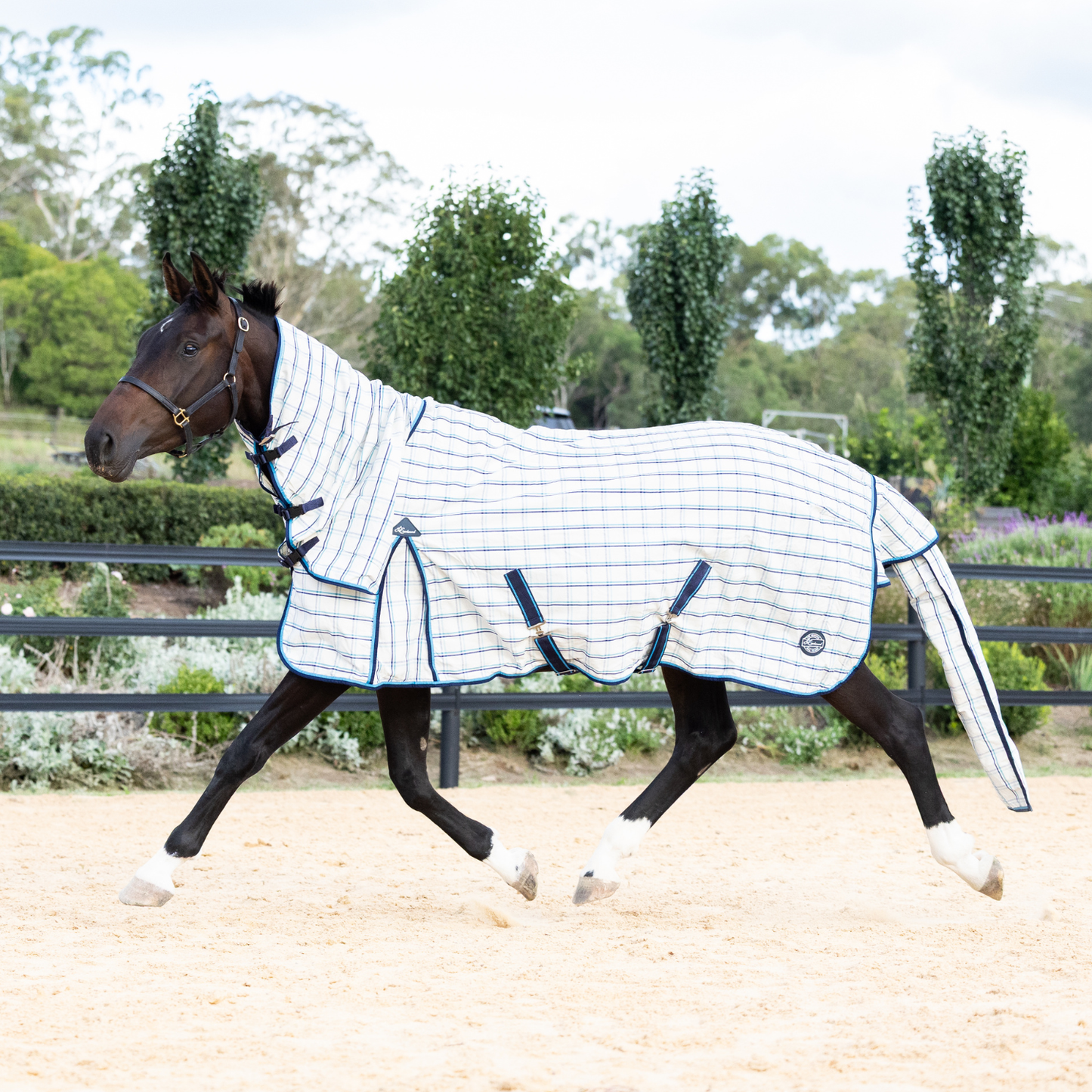 The Original Earlwood Dual Season WOOL Lined Combo