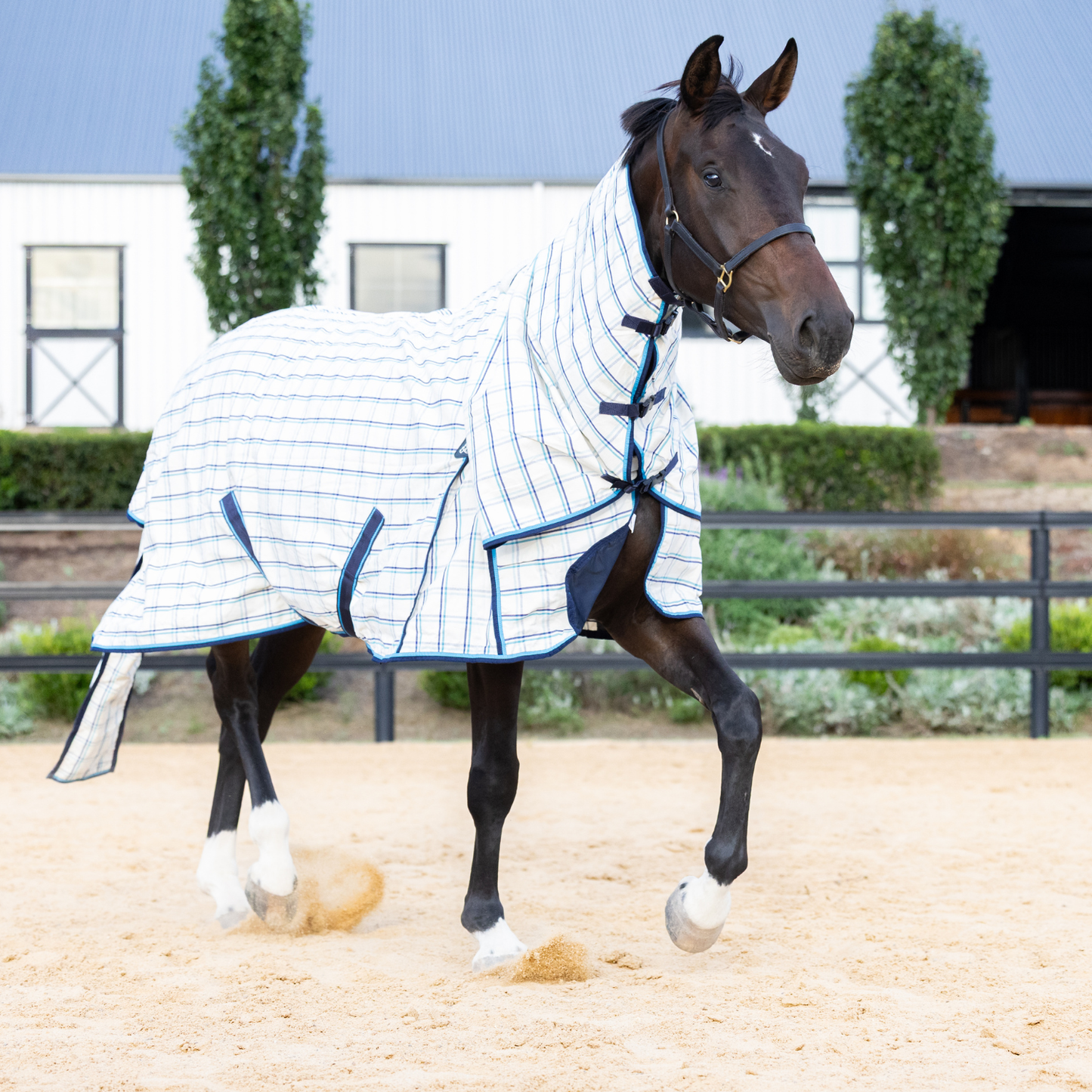 The Original Earlwood Dual Season WOOL Lined Combo
