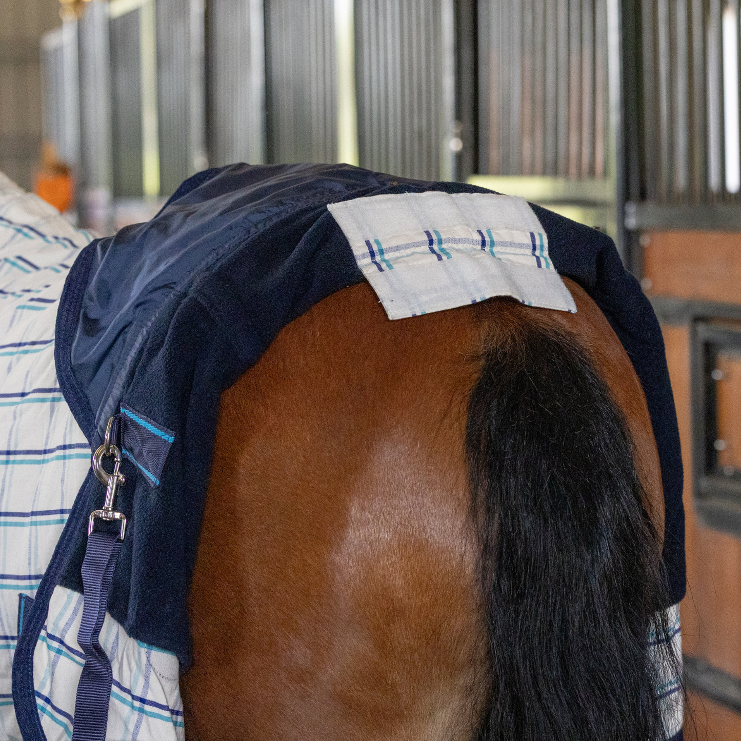 The Original Earlwood Dual Season FLEECE Lined Combo