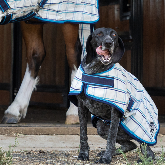 Earlwood Dual Season FLEECE Lined DOG Rug