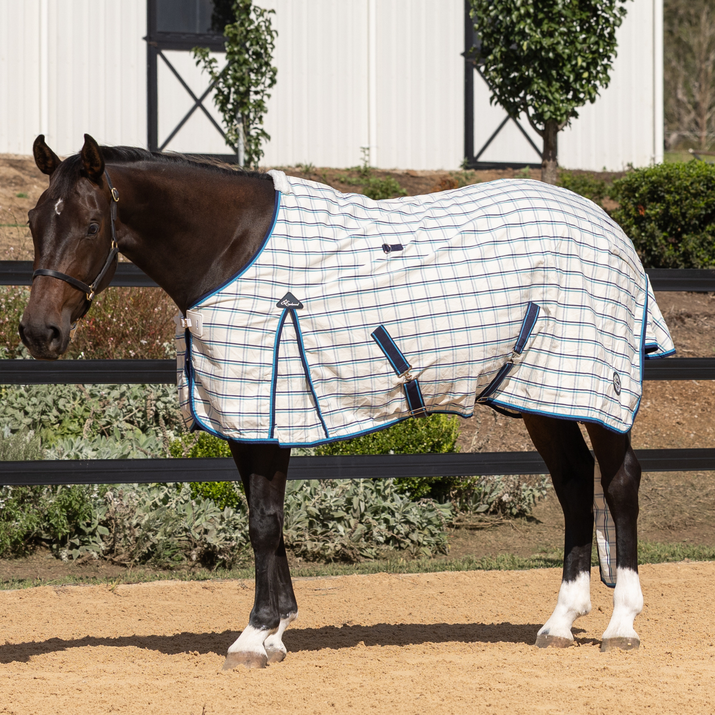 The Original Earlwood Dual Season FLEECE Lined Rug