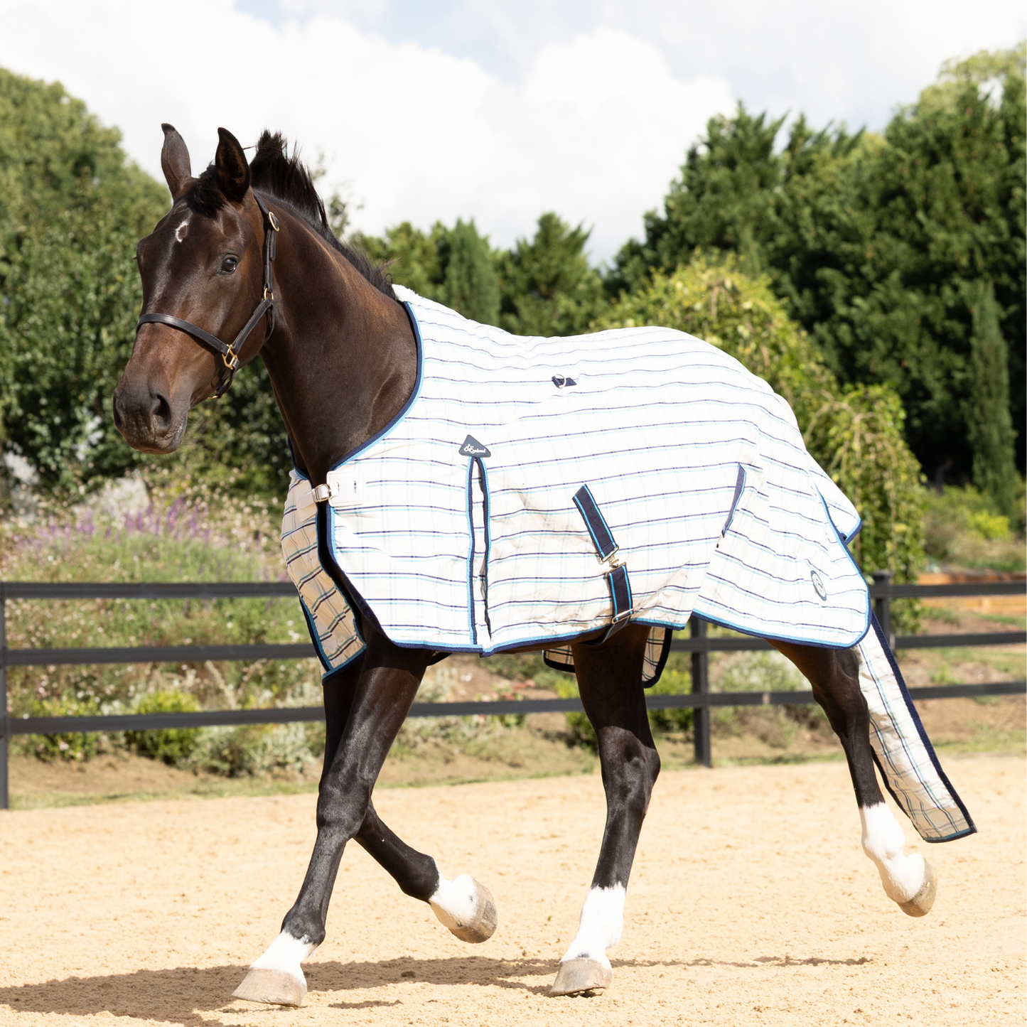 The Original Earlwood Dual Season FLEECE Lined Rug