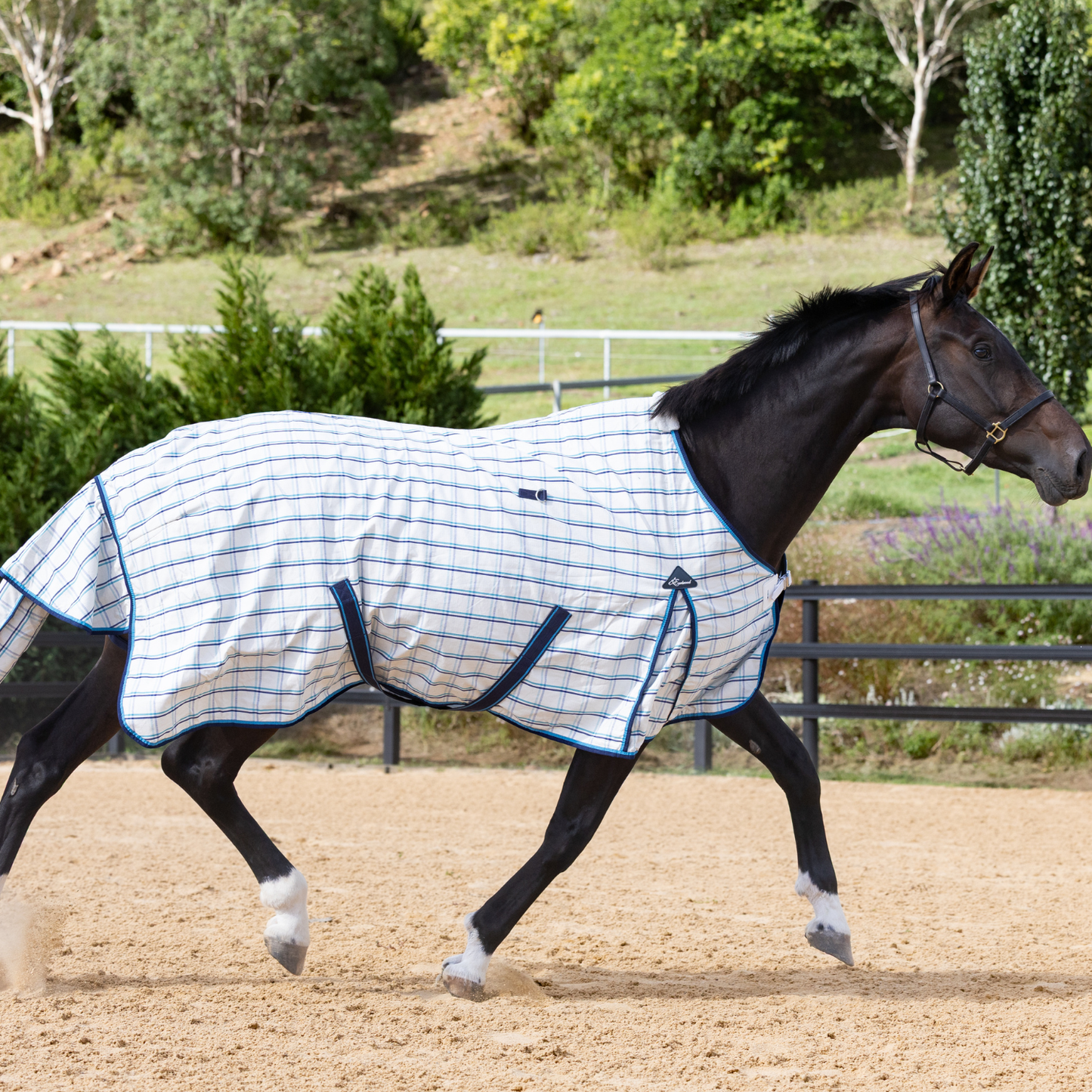 The Original Earlwood Dual Season FLEECE Lined Rug