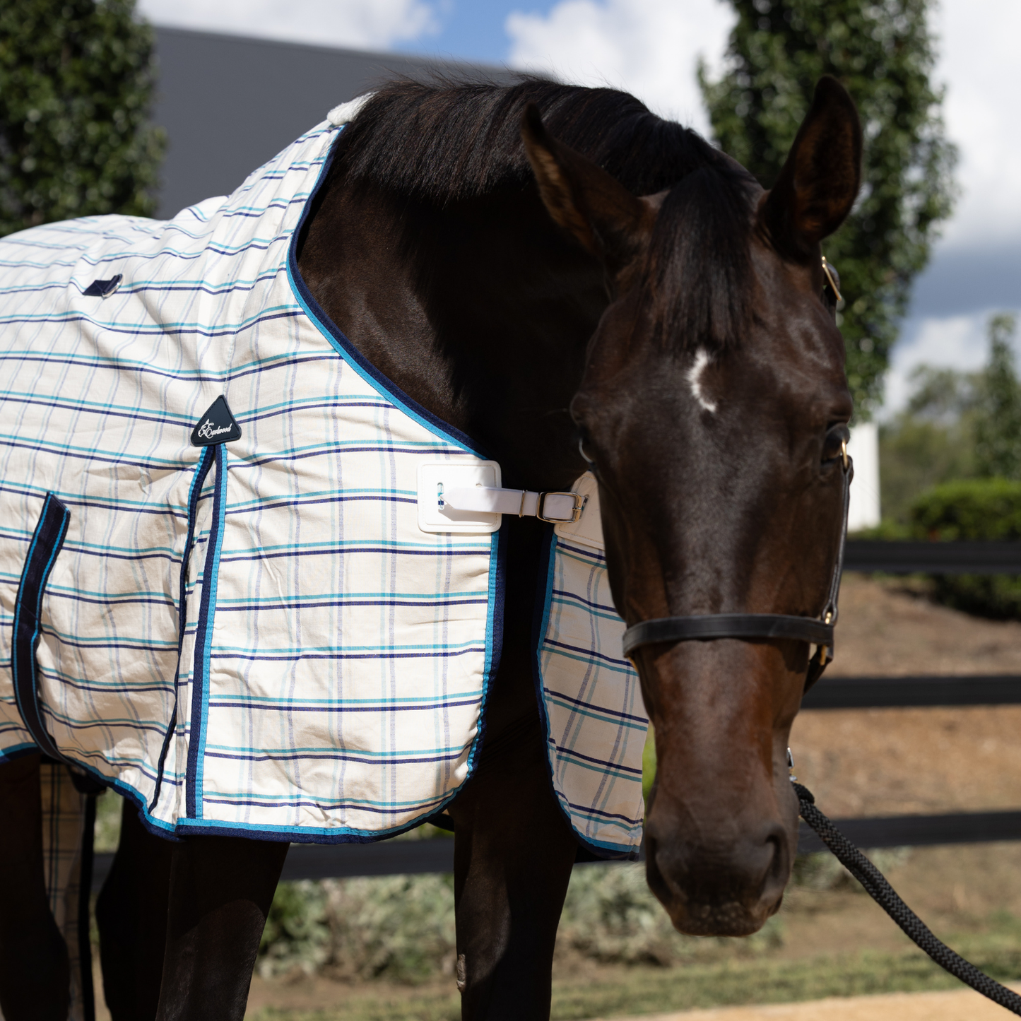 The Original Earlwood Dual Season FLEECE Lined Rug