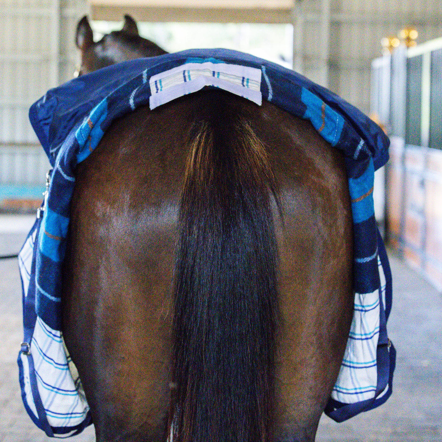 Earlwood Dual Season Tail Bags