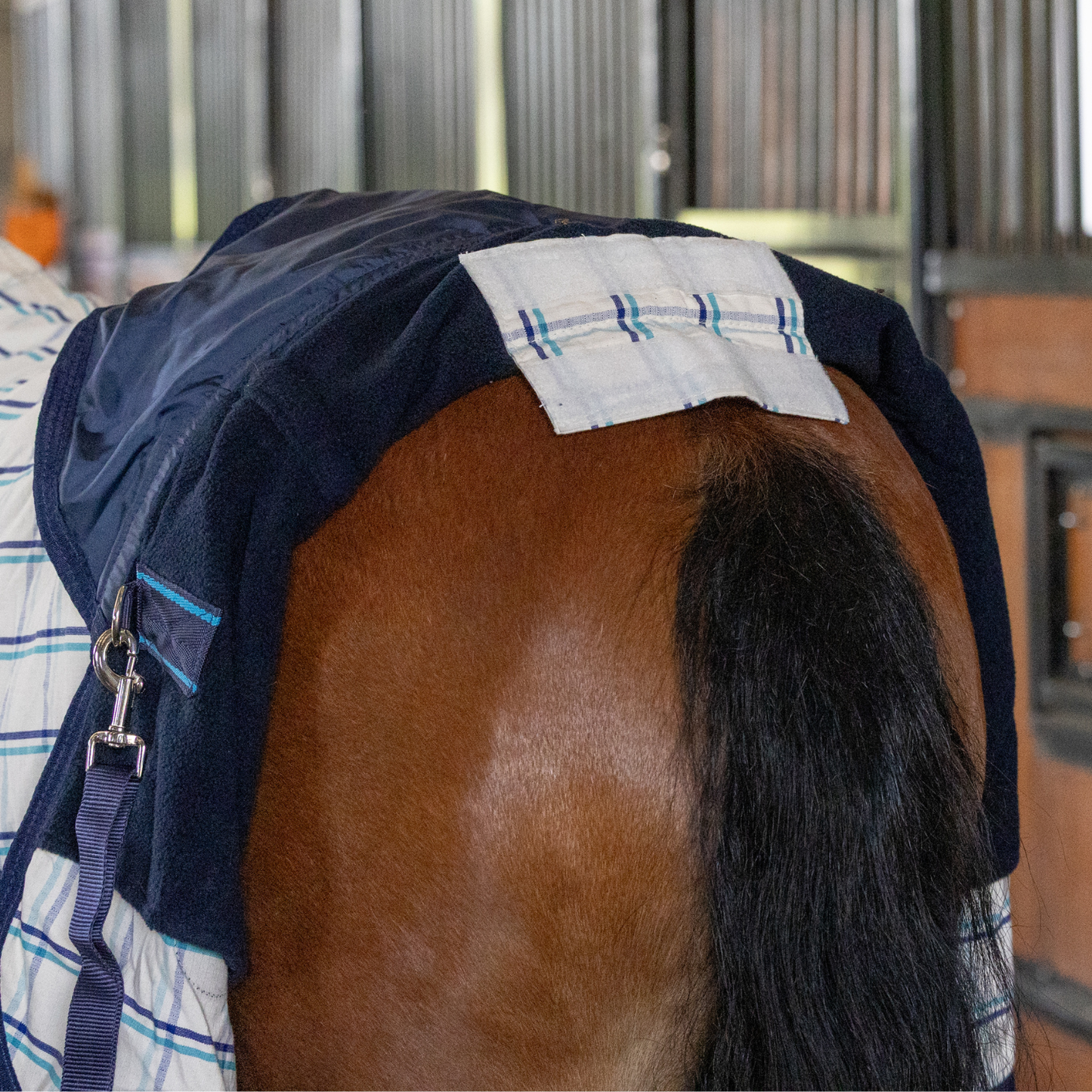 Earlwood Dual Season Tail Bags