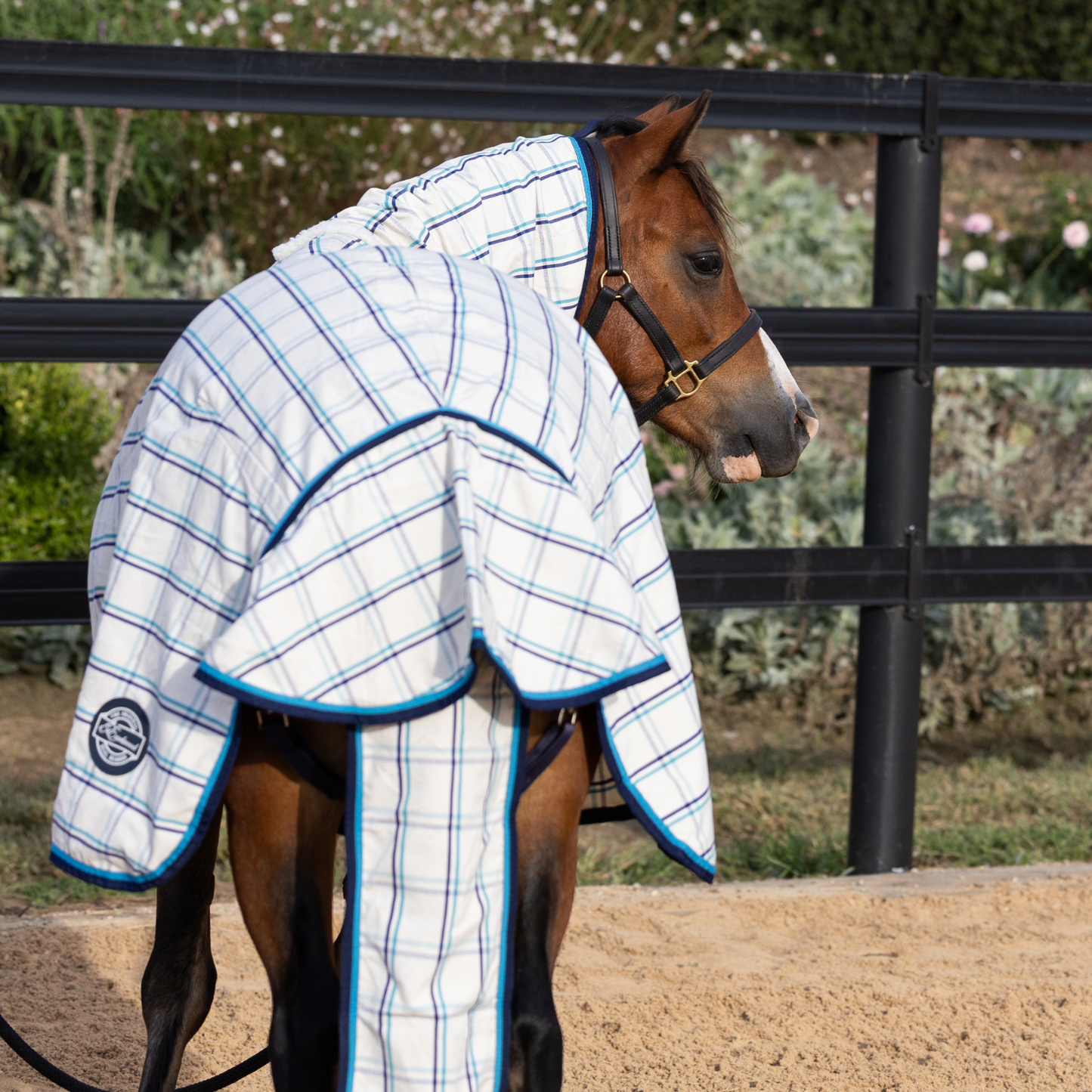 Earlwood Dual Season Tail Bags