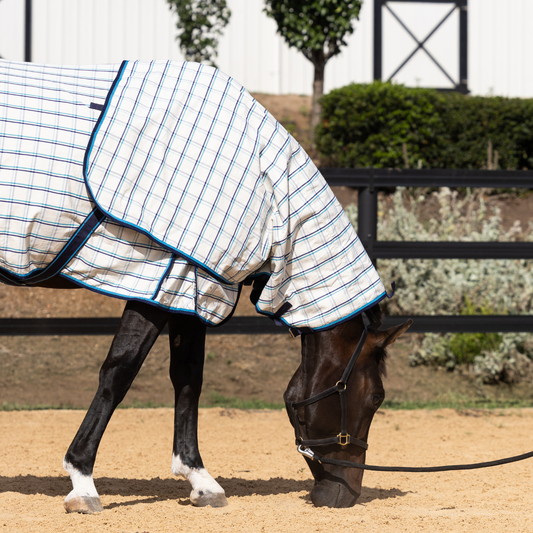 Earlwood Dual Season Wool Lined Neck Rug