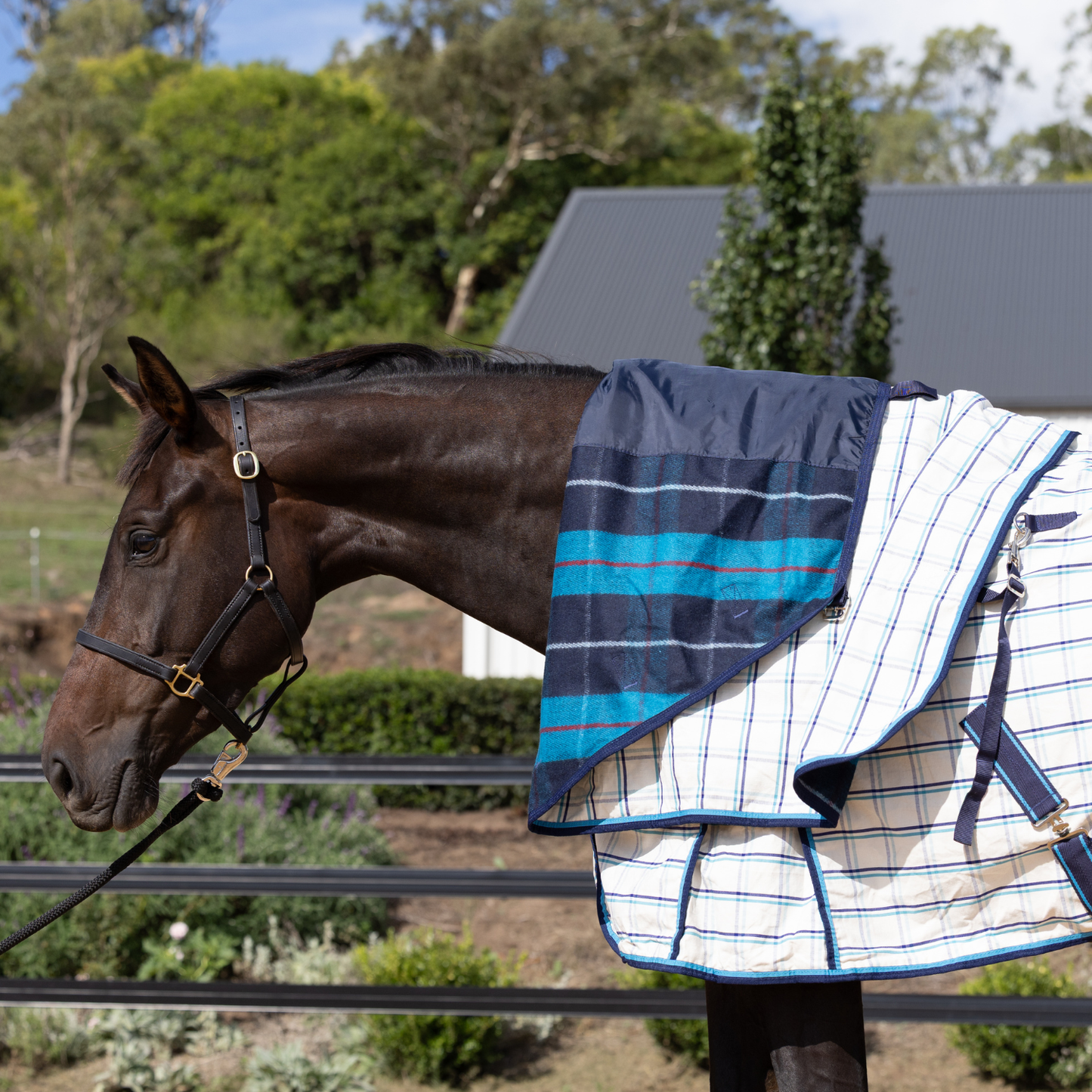 Earlwood Dual Season Wool Lined Neck Rug