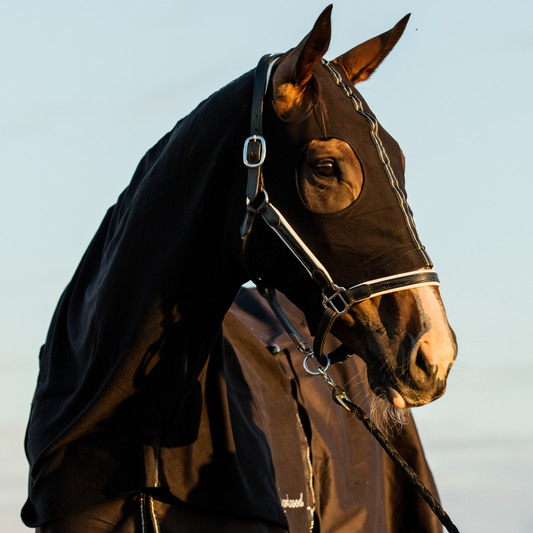 Earlwood Black-SILVER Cotton Show Rug (Rug & Tail Bag only)