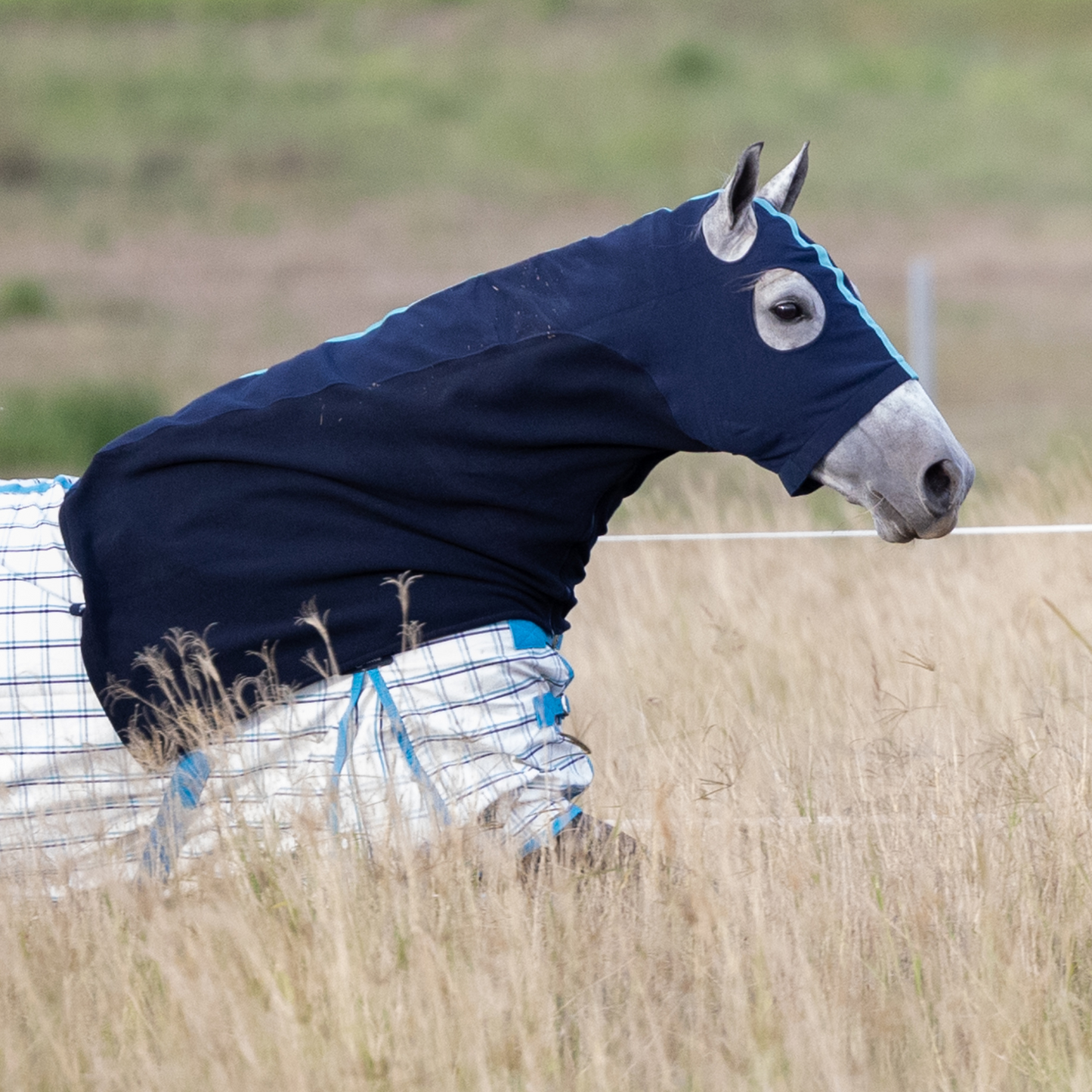 Earlwood Hood - FLEECE