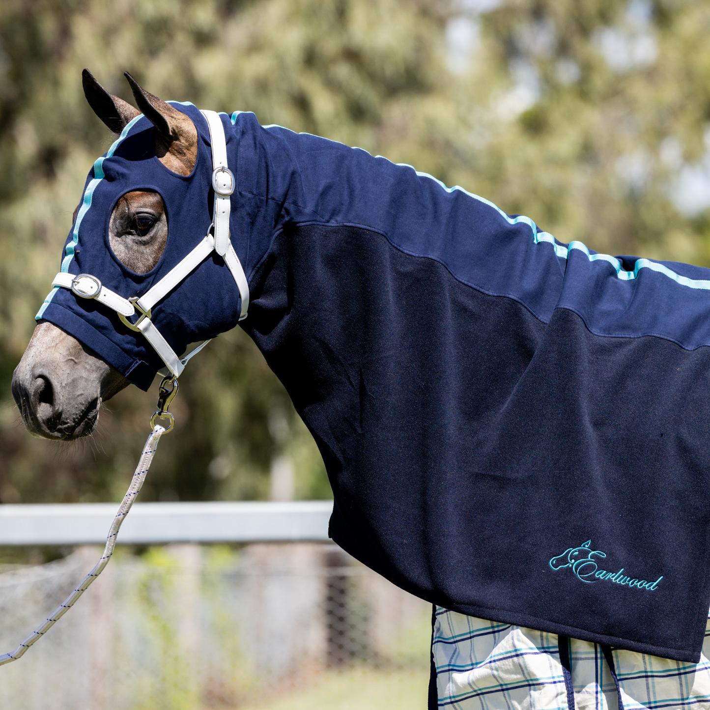 Earlwood Hood - FLEECE