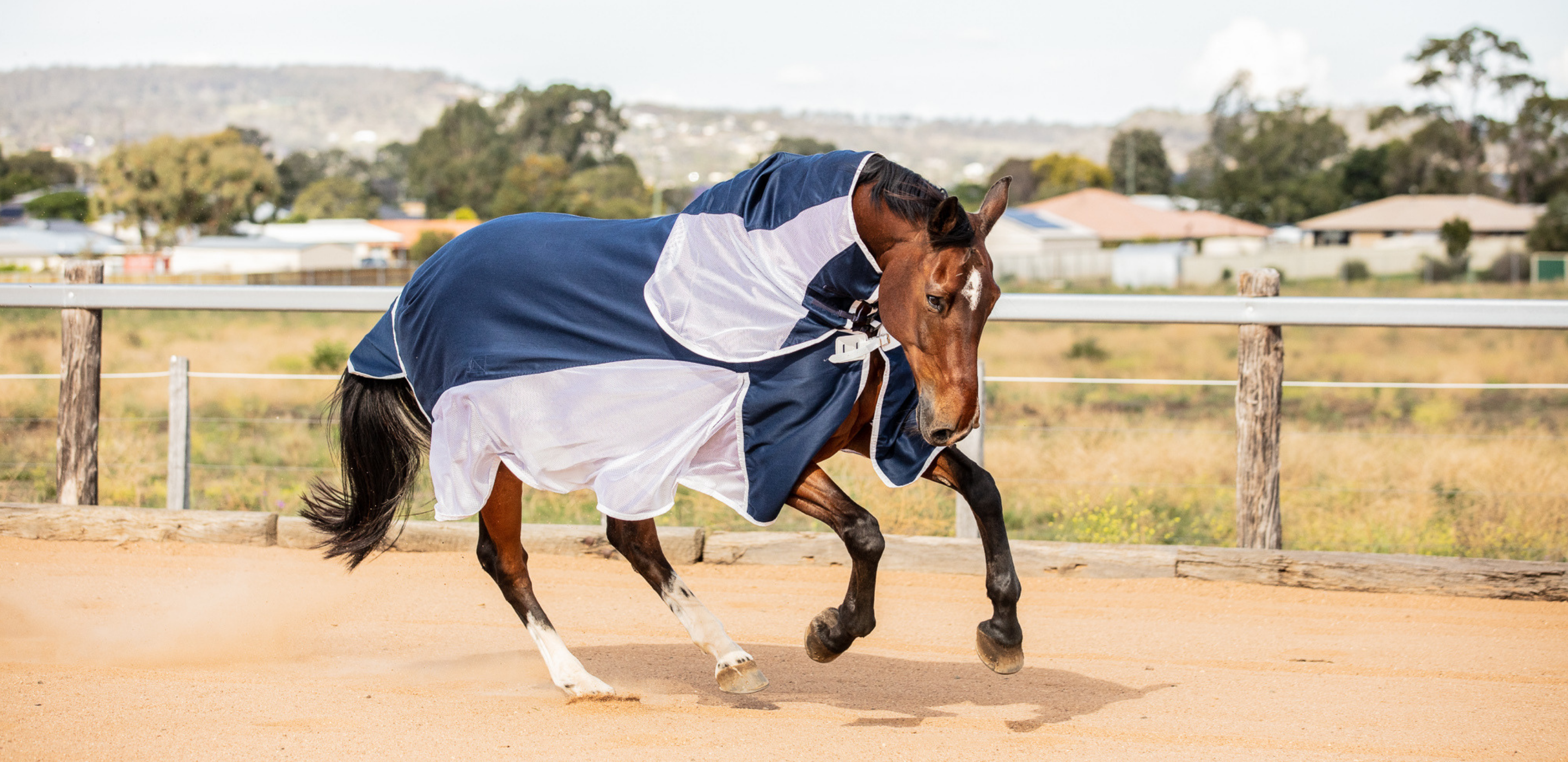 Earlwood Equine Mesh Horse Rug