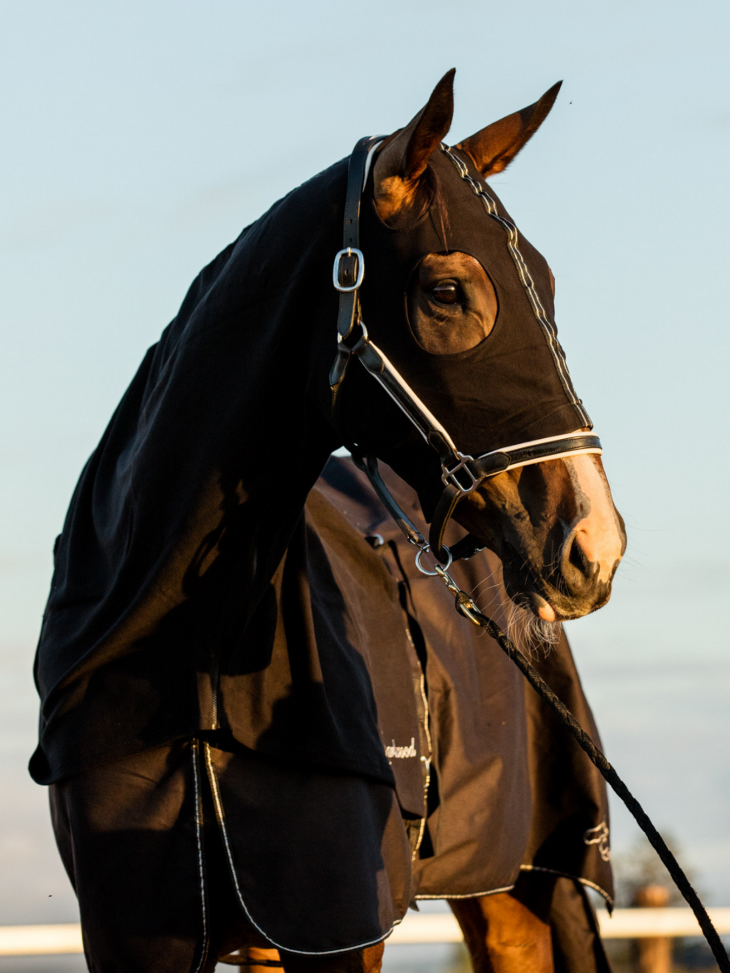 Earlwood Black-SILVER Cotton Show Rug (Rug & Tail Bag only)