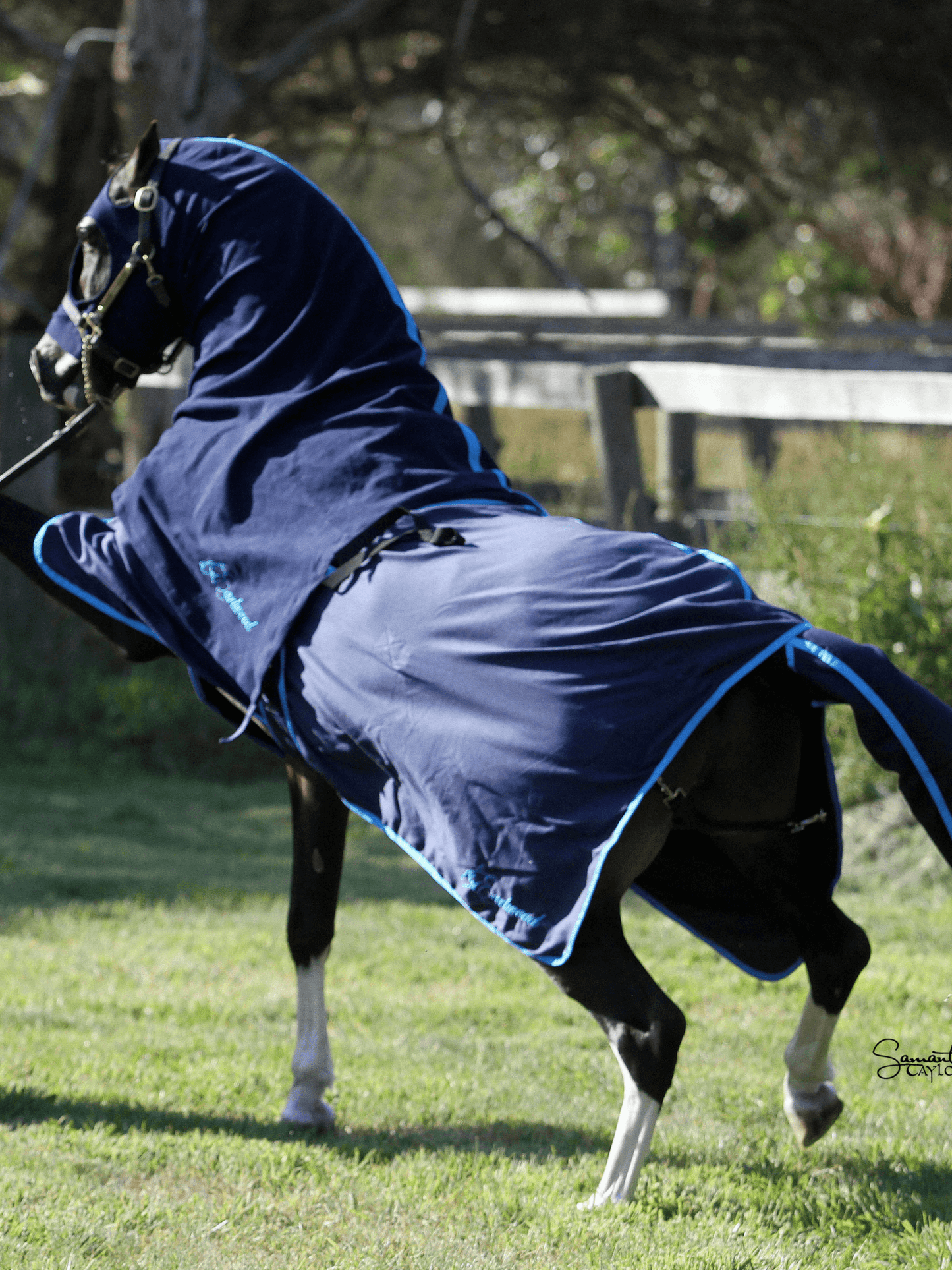 Horse in Navy/Turquoise Earlwood Rug Tail Bags