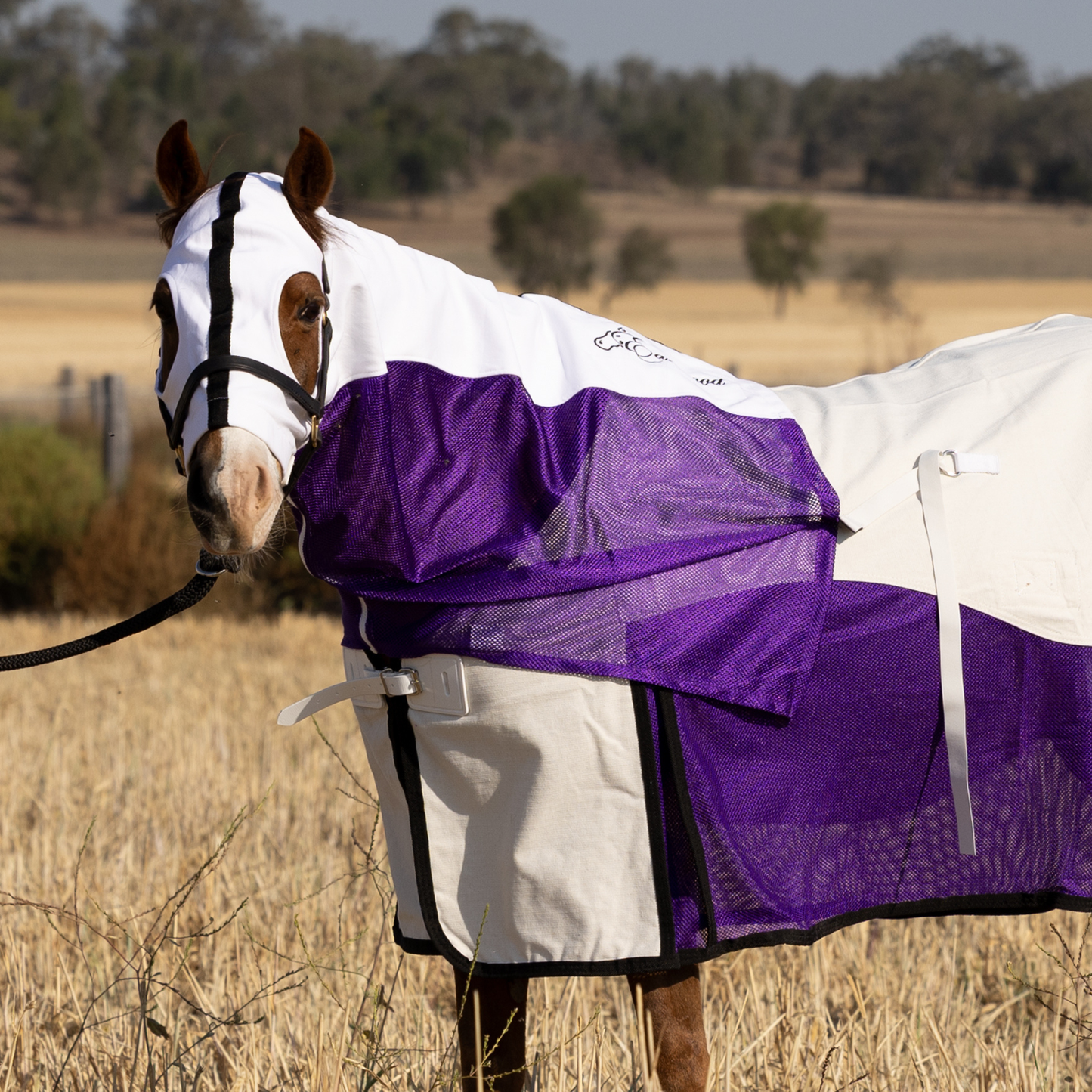 PREORDER Earlwood Fairy Wren MESH Hood