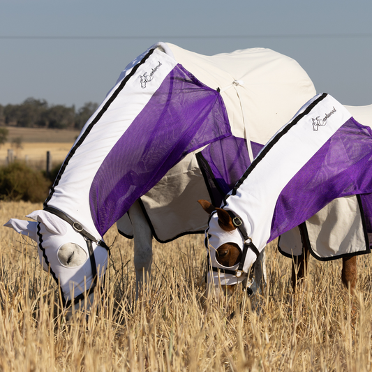 PREORDER Earlwood Fairy Wren MESH Hood