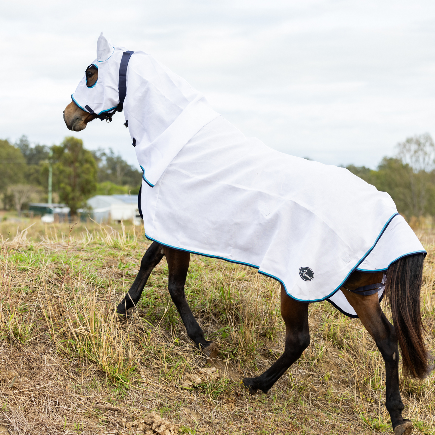 Earlwood Hooded Flag Combo - Ocean