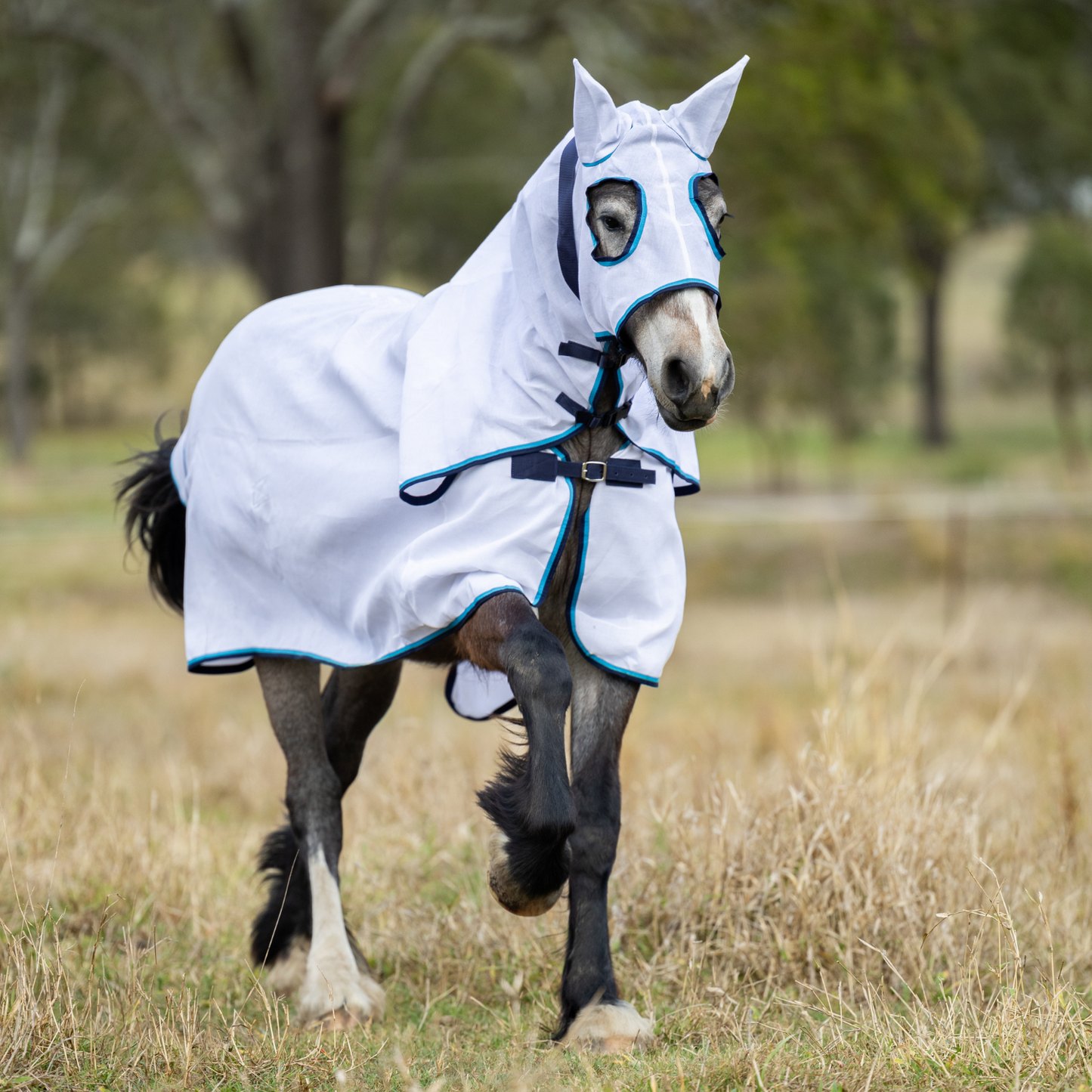 Earlwood Hooded Flag Combo - Ocean