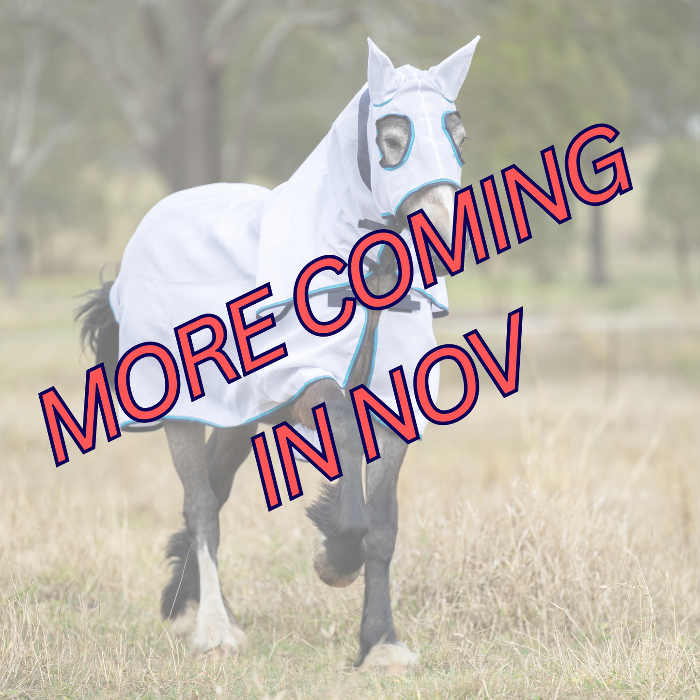 Earlwood Hooded Flag Combo - Ocean