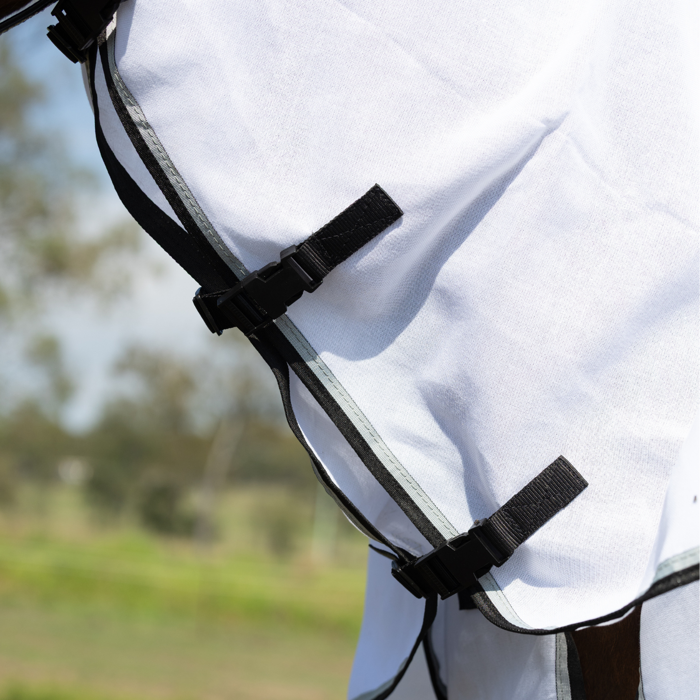Earlwood Flag Combo - Magpie