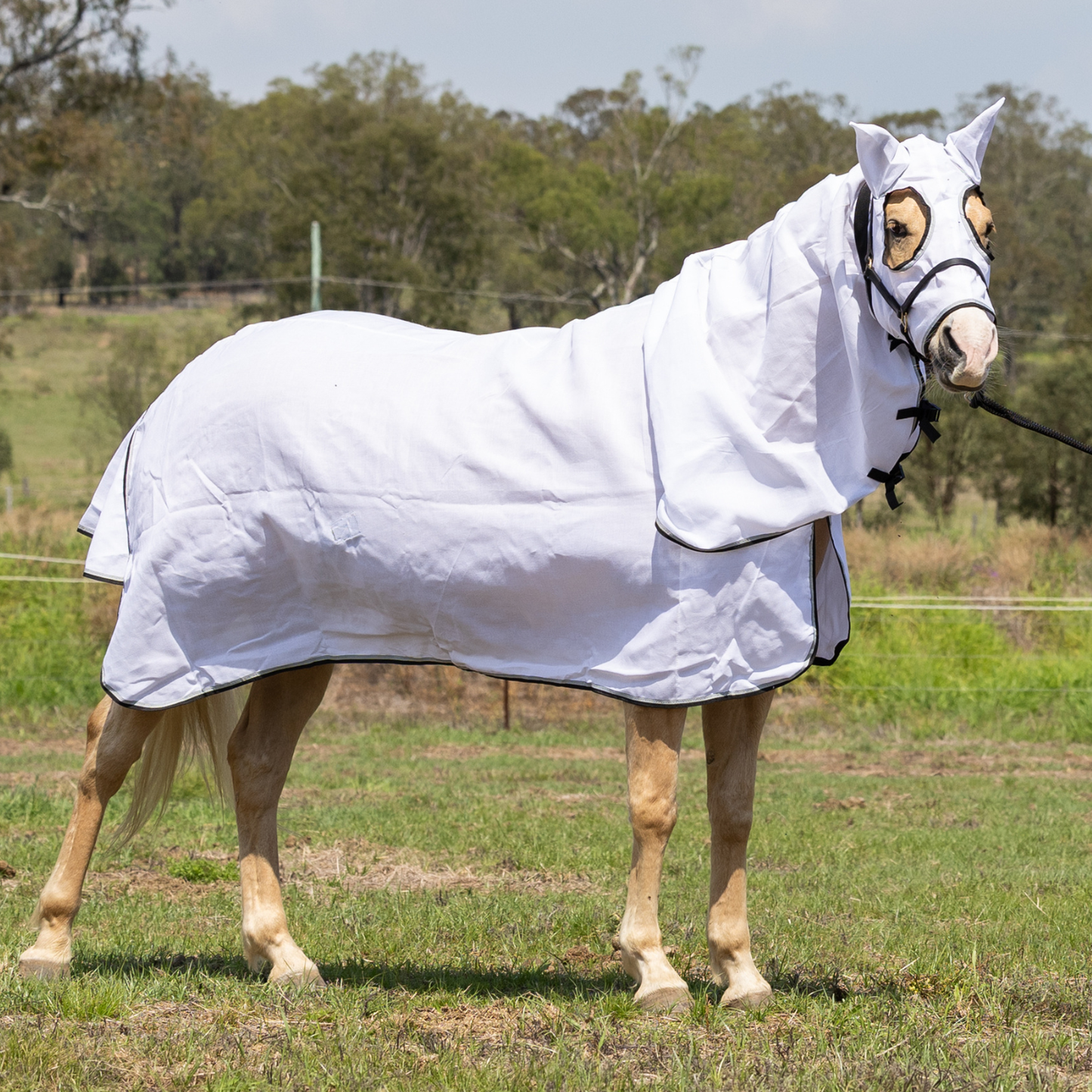 Earlwood Hooded Flag Combo - Magpie