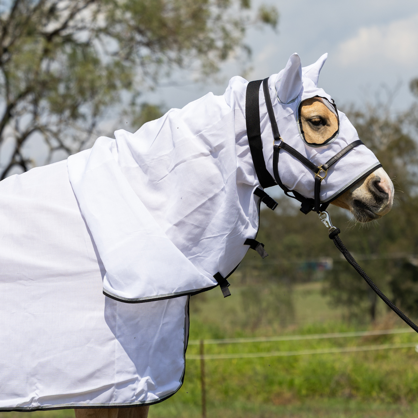 Earlwood Hooded Flag Combo - Magpie
