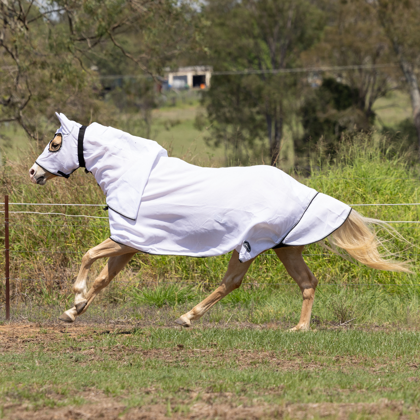 Earlwood Hooded Flag Combo - Magpie