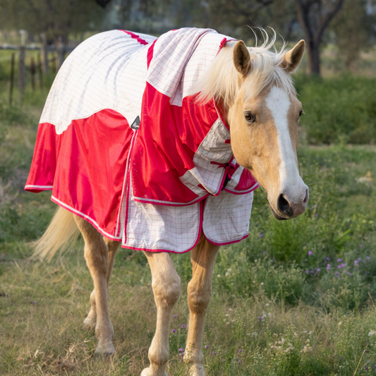Earlwood Airflow Ripstop Combo - GALAH