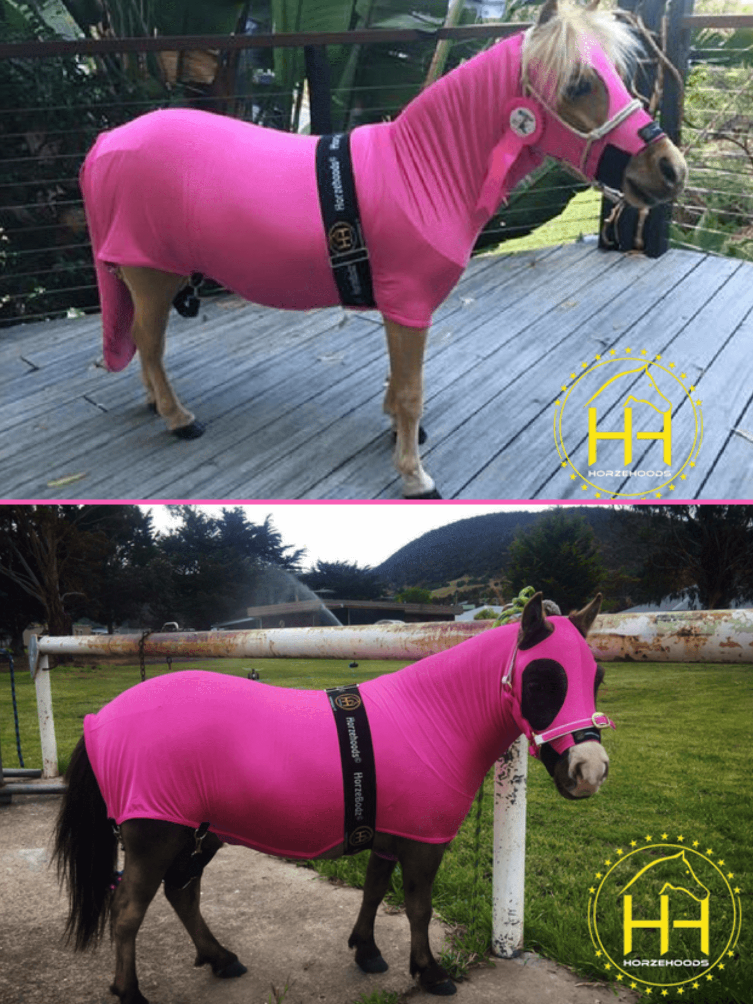 Horse wearing Mini HorzeBodz in Hot Pink