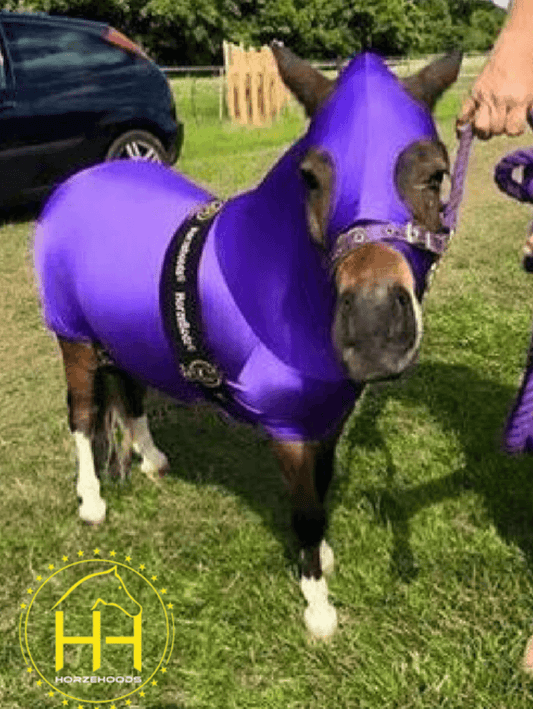 Horse wearing Mini HorzeBodz in Purple