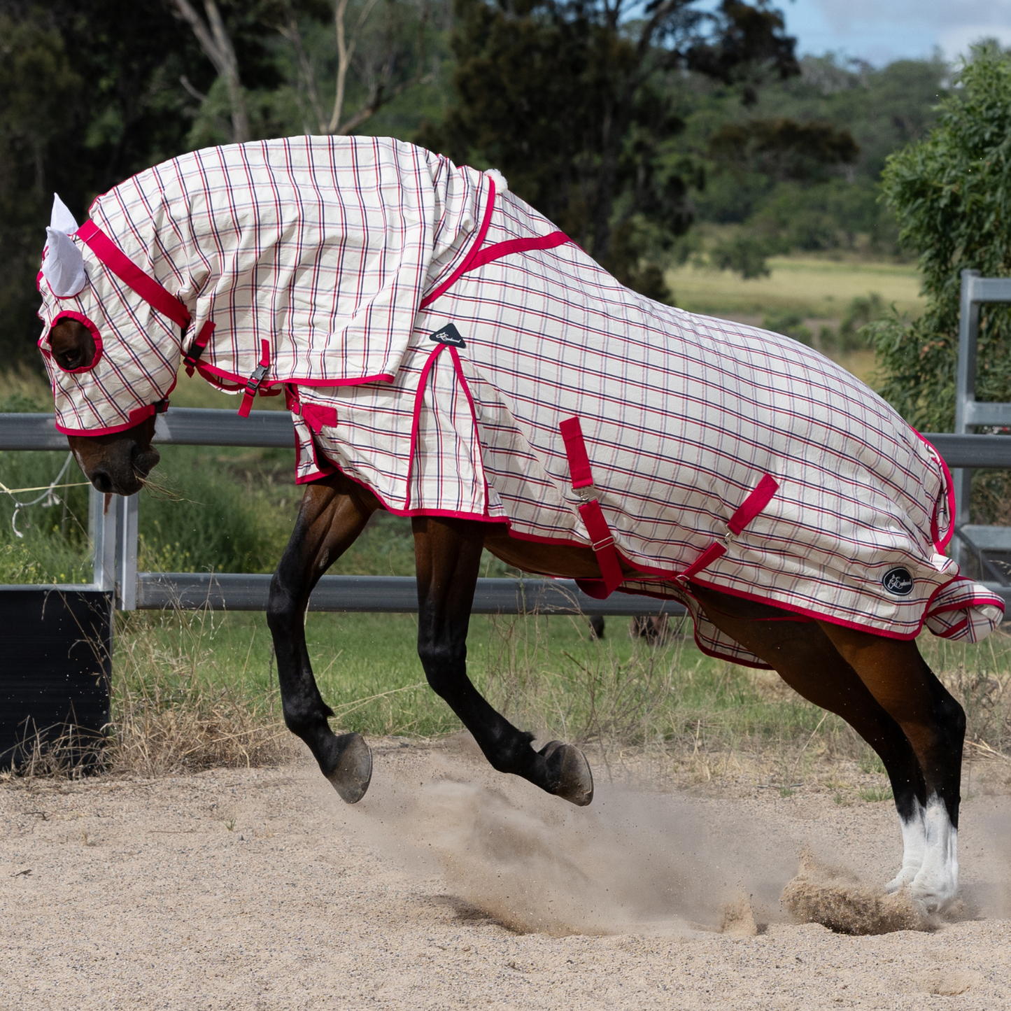 Earlwood Ripstop Hooded Combo - Magenta