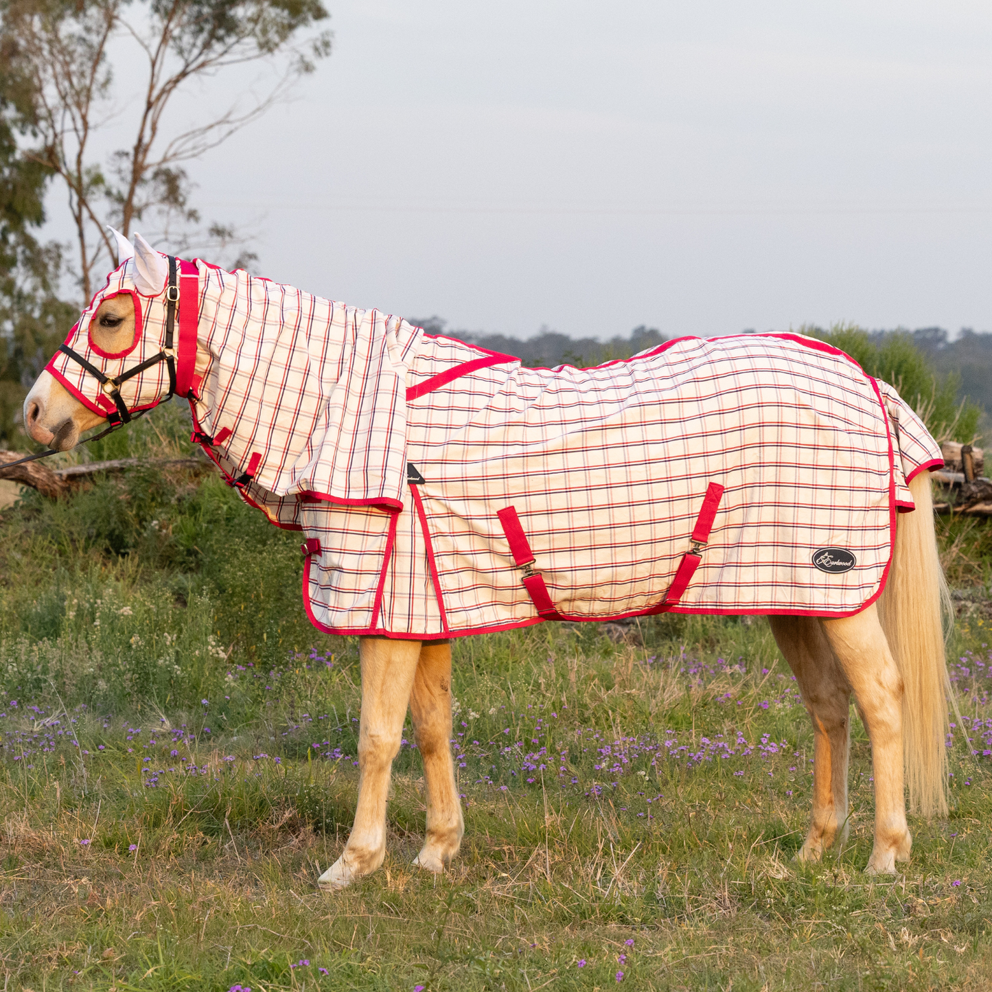 Earlwood Ripstop Hooded Combo - Magenta
