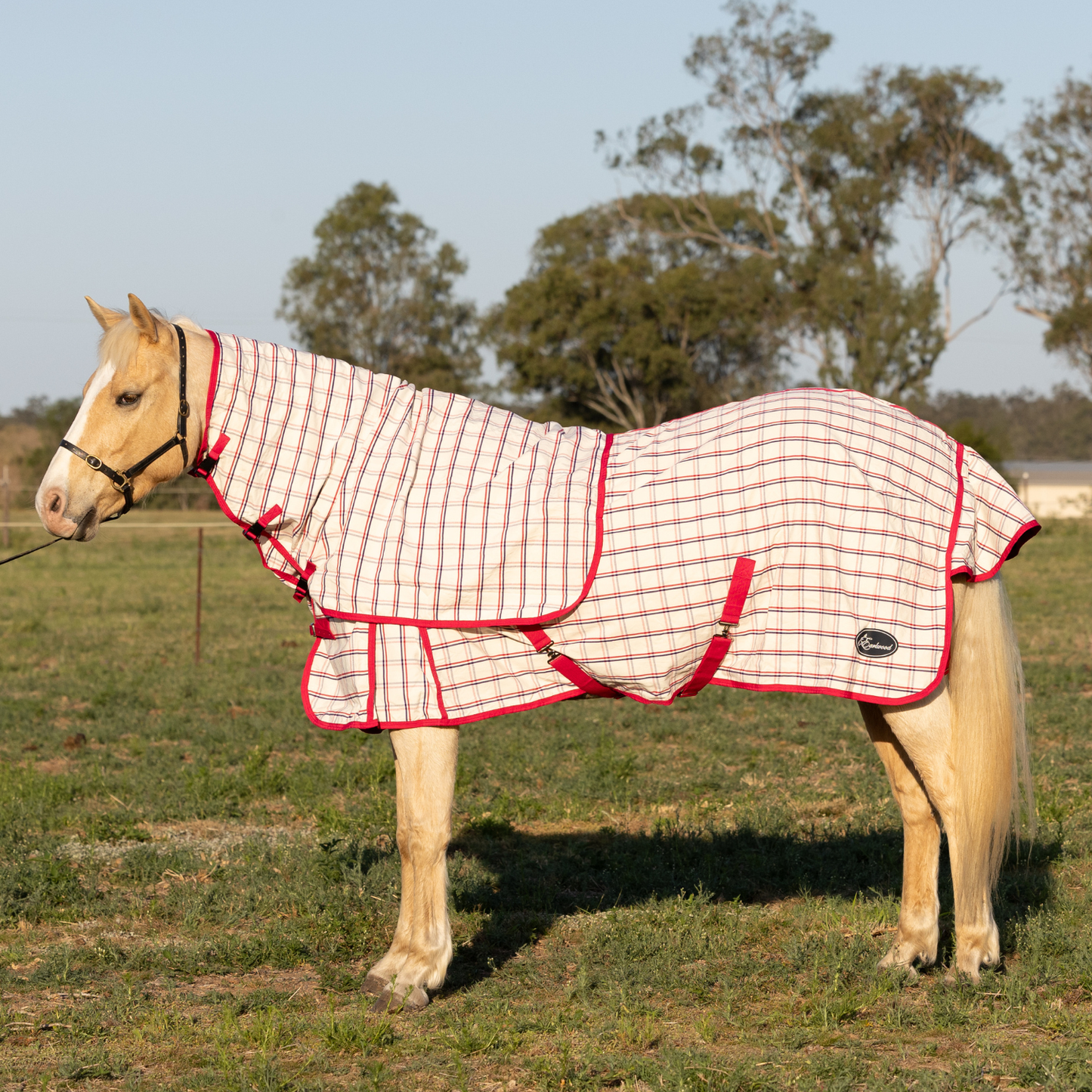 Earlwood Ripstop Neck Rug - Magenta