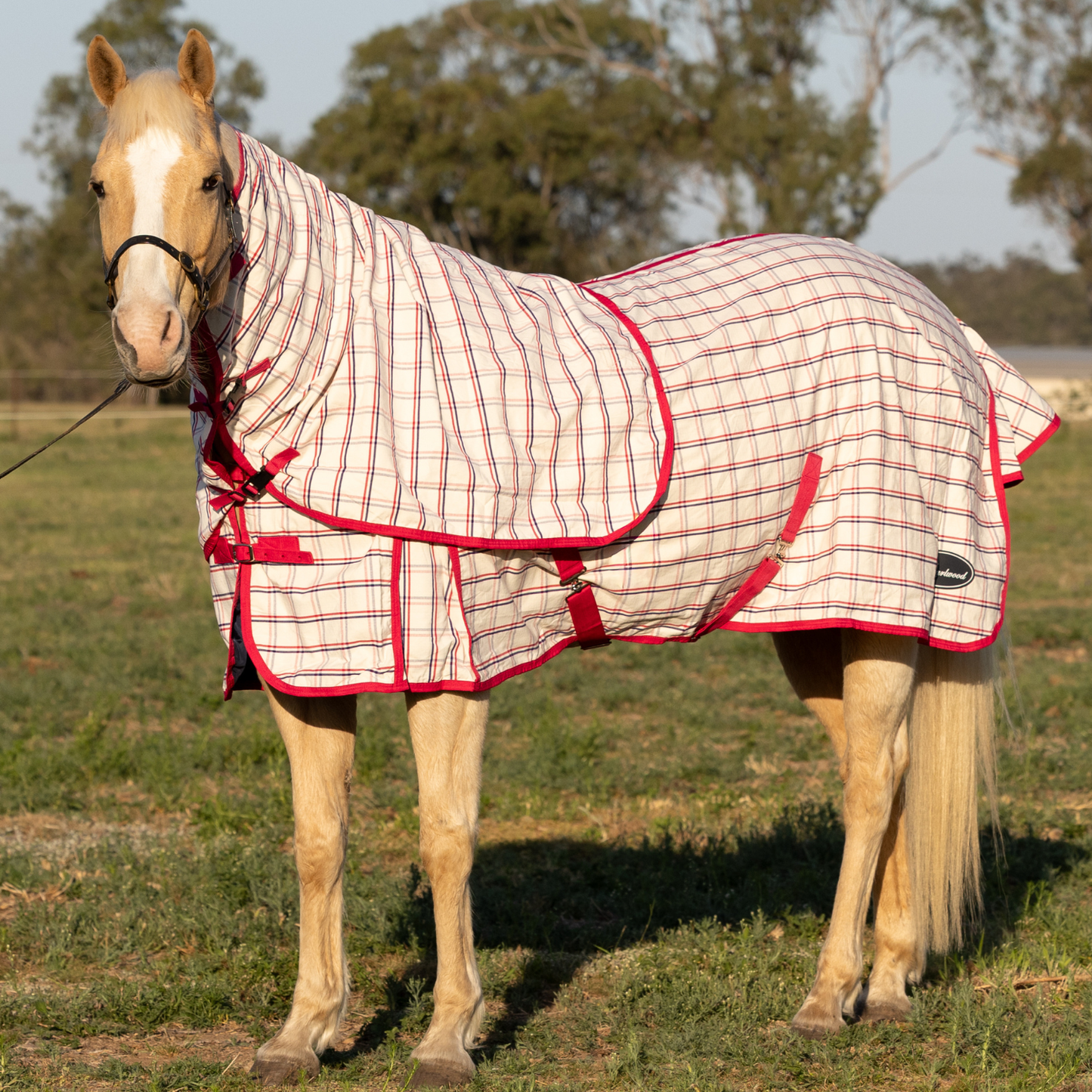 Earlwood Ripstop Neck Rug - Magenta