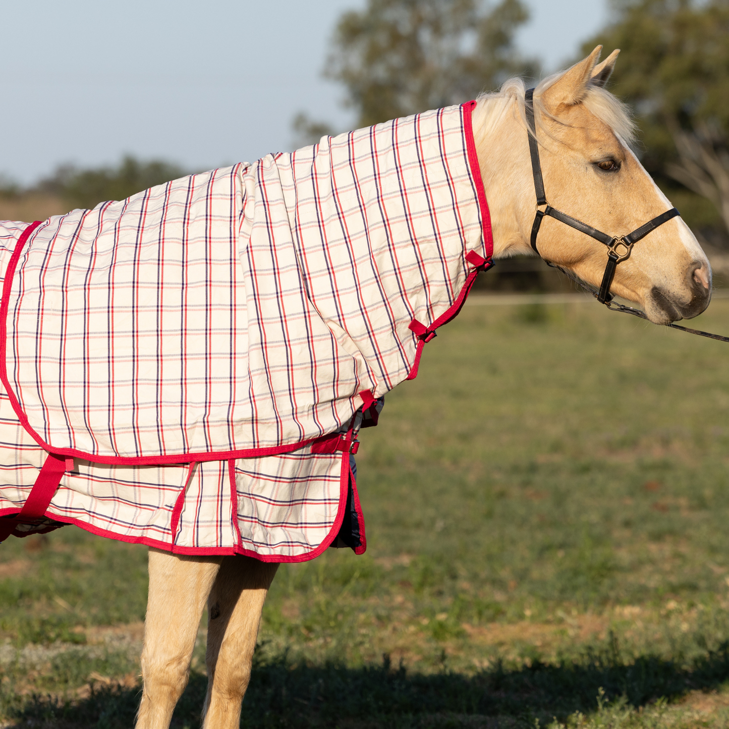 Earlwood Ripstop Neck Rug - Magenta
