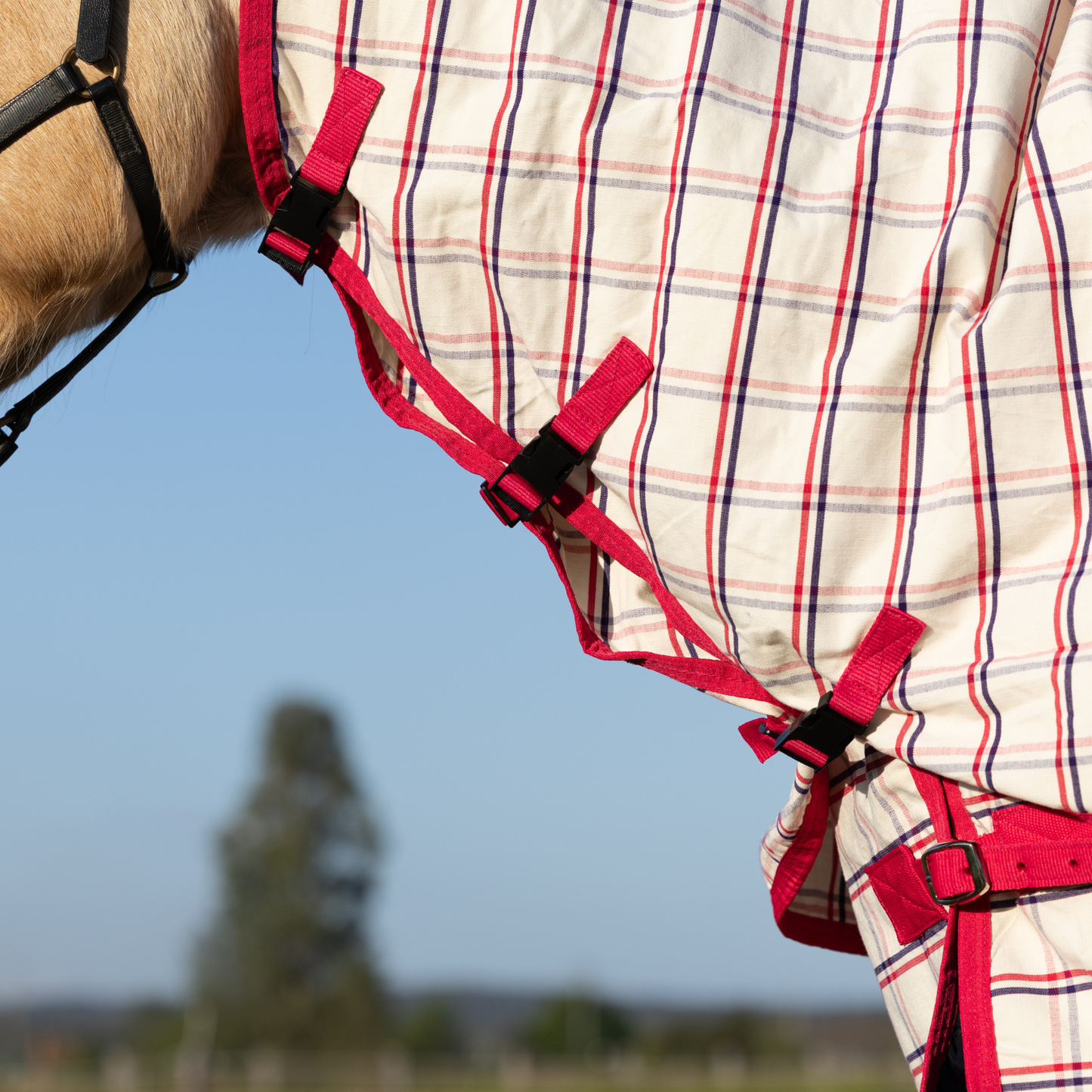 Earlwood Ripstop Neck Rug - Magenta