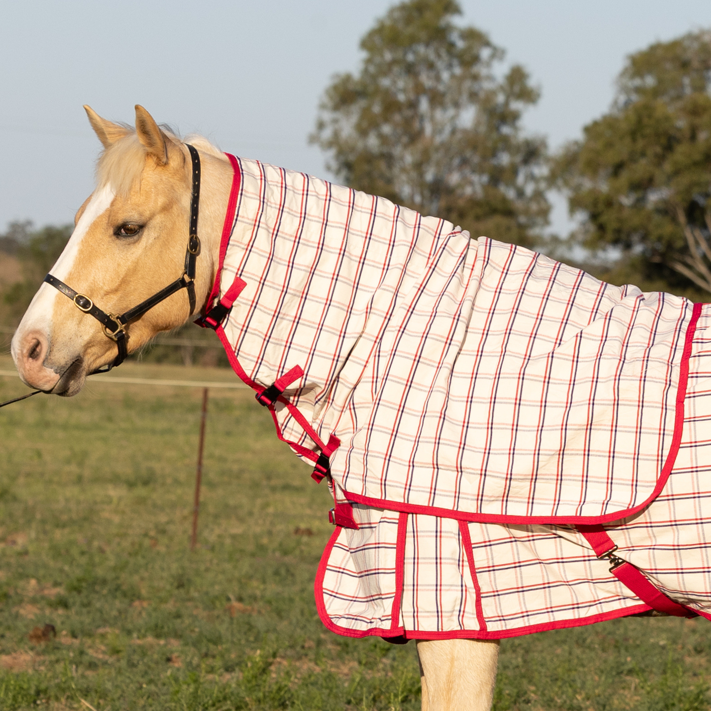 Earlwood Ripstop Neck Rug - Magenta