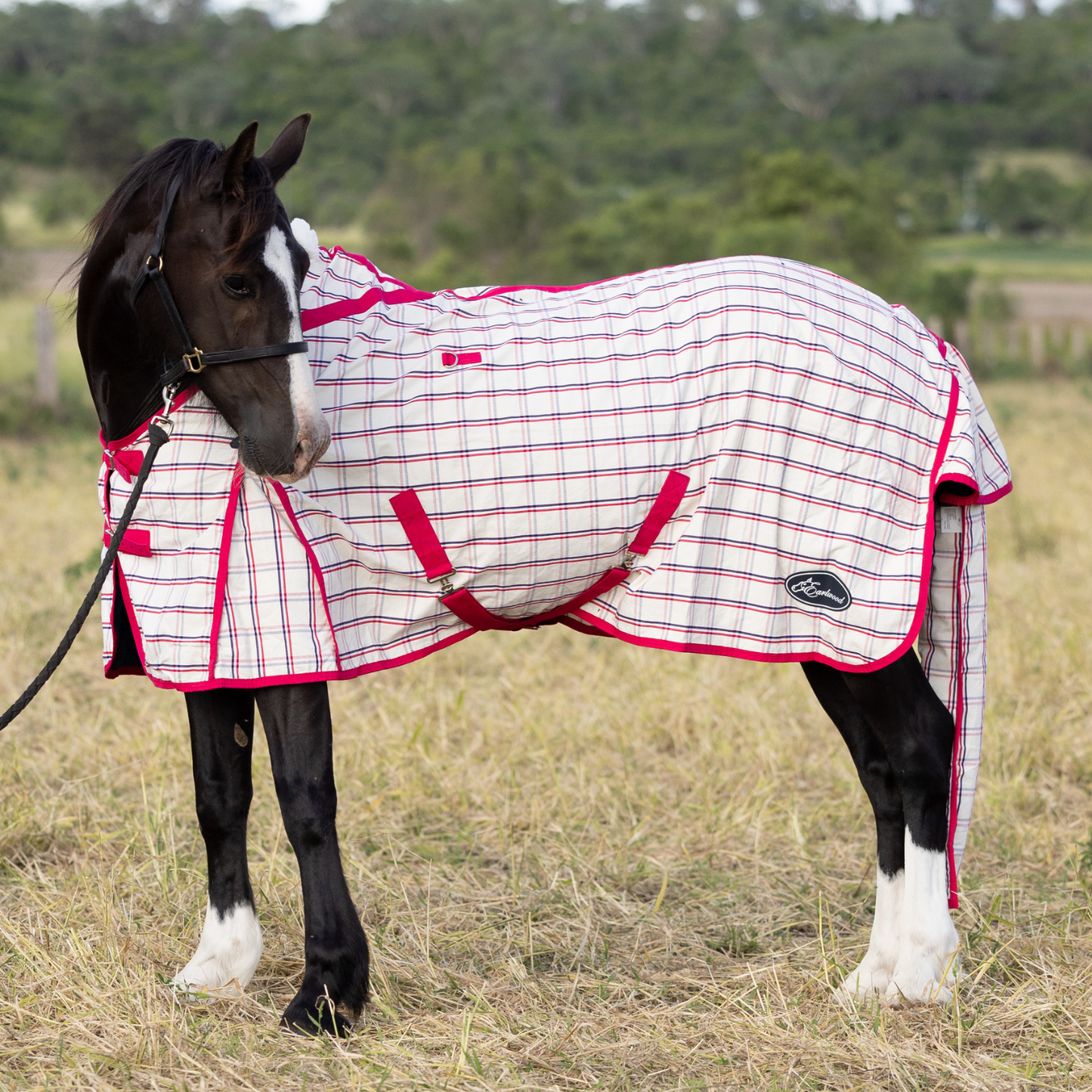 Earlwood Ripstop Rug - Magenta