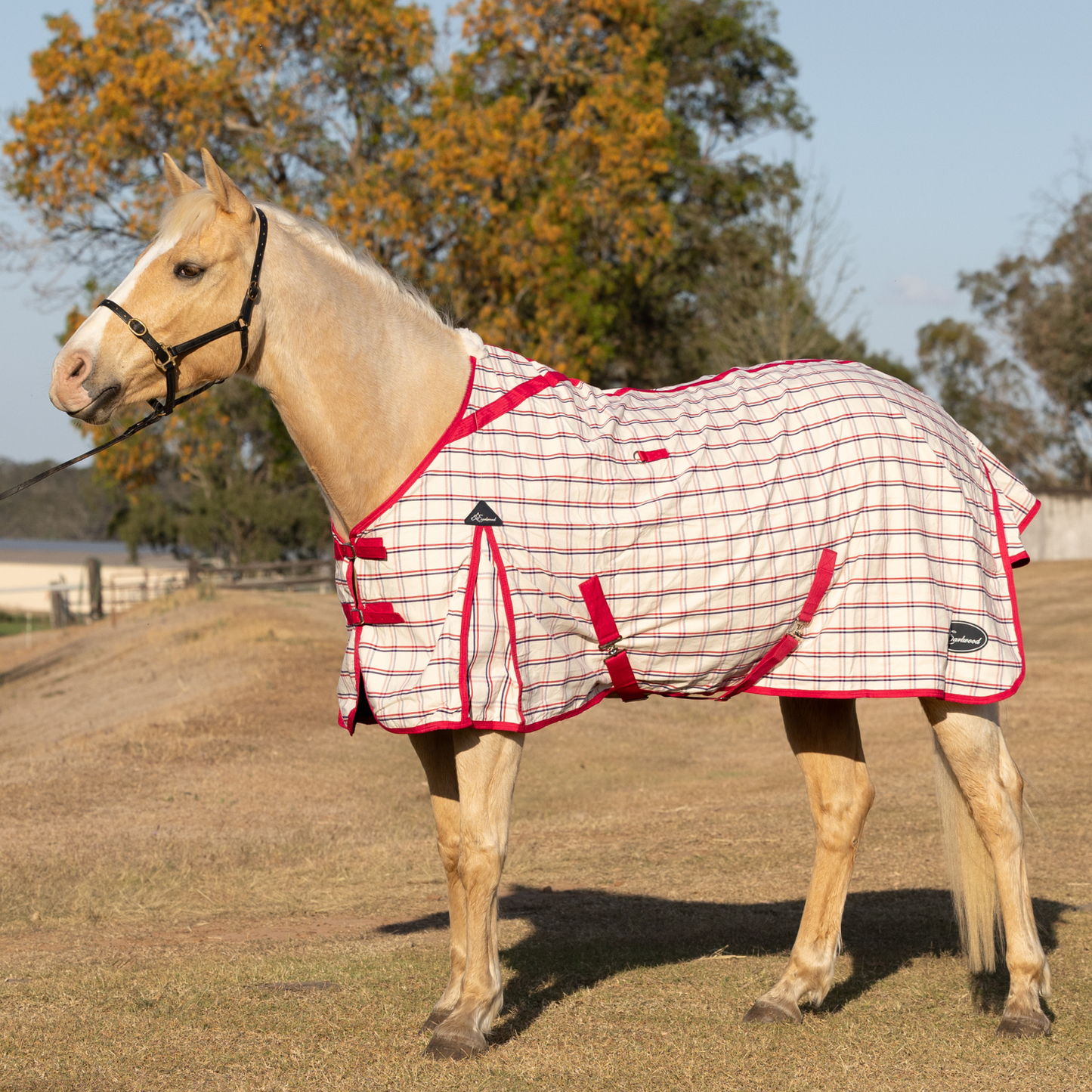 Earlwood Ripstop Rug - Magenta