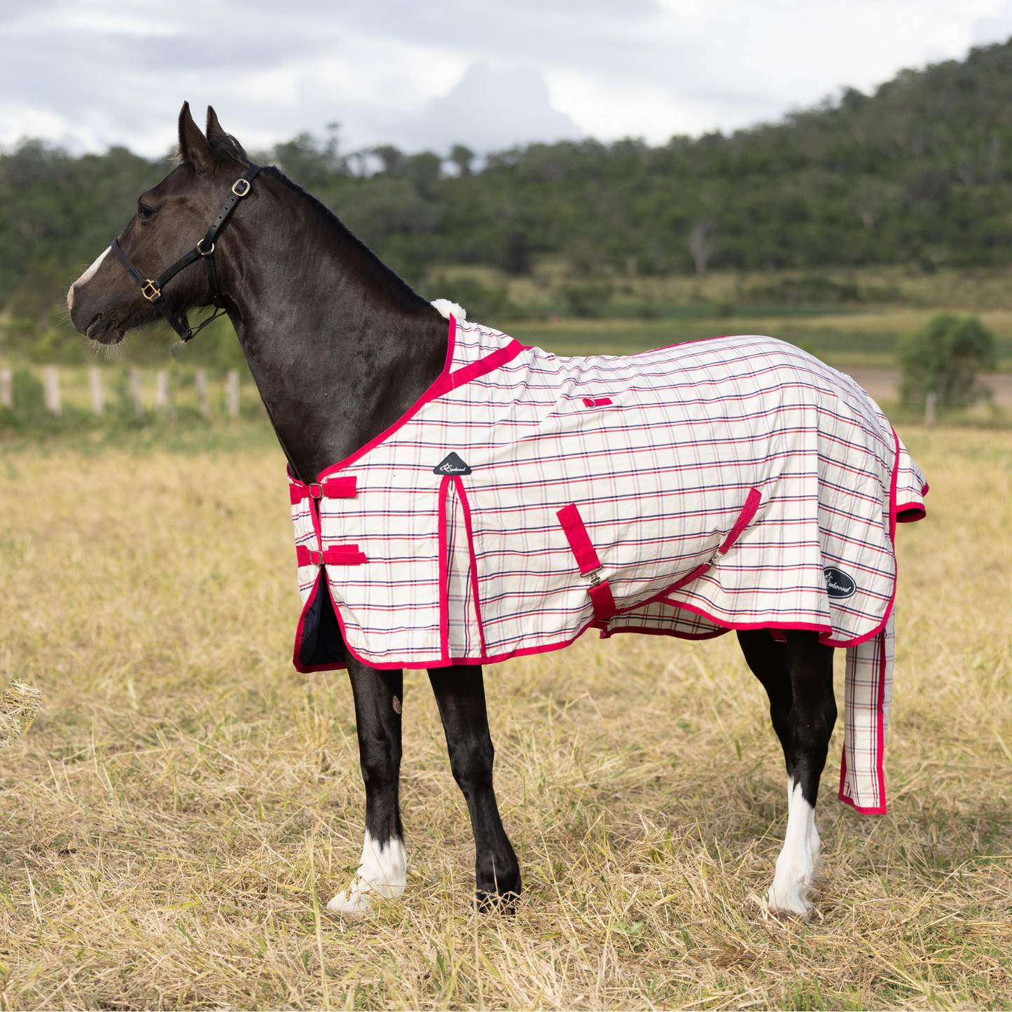 Earlwood Ripstop Rug - Magenta