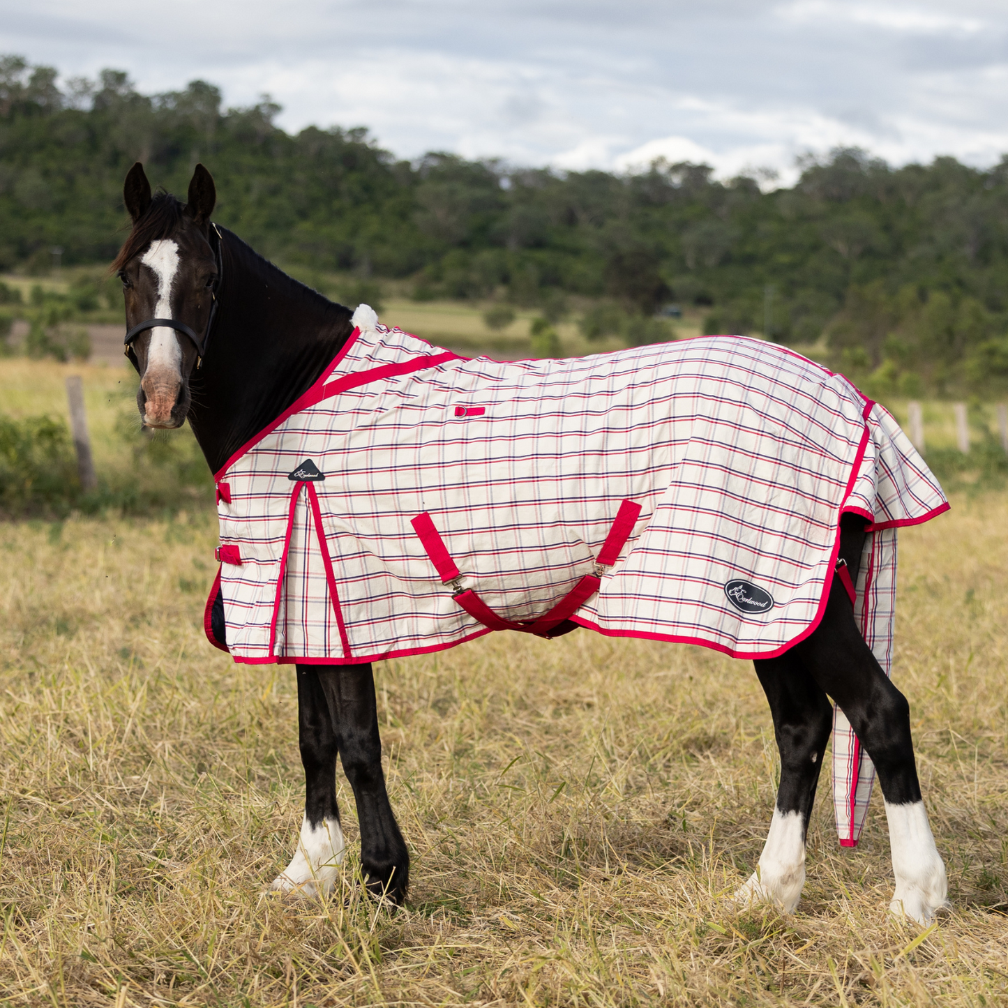 Earlwood Ripstop Rug - Magenta