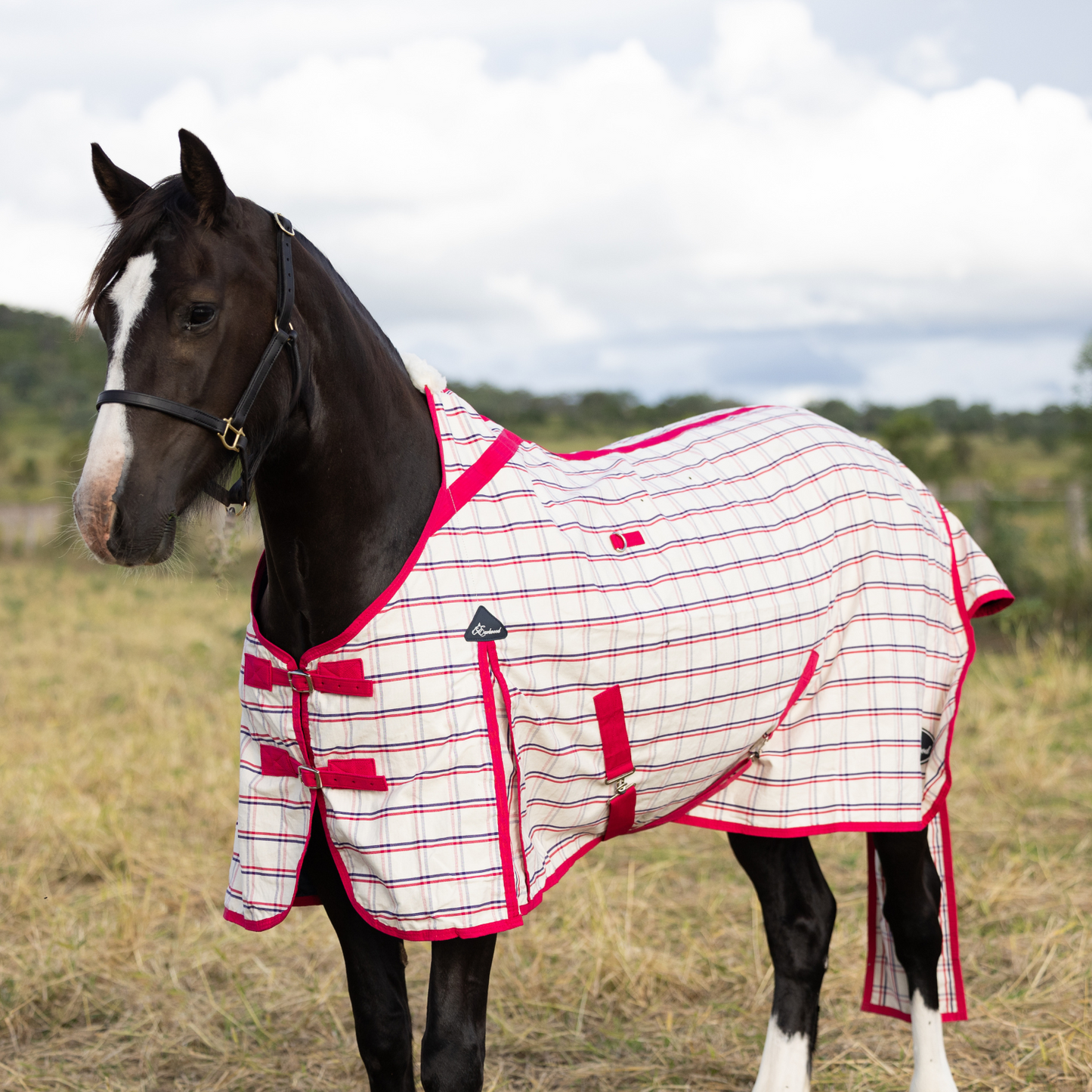 Earlwood Ripstop Rug - Magenta