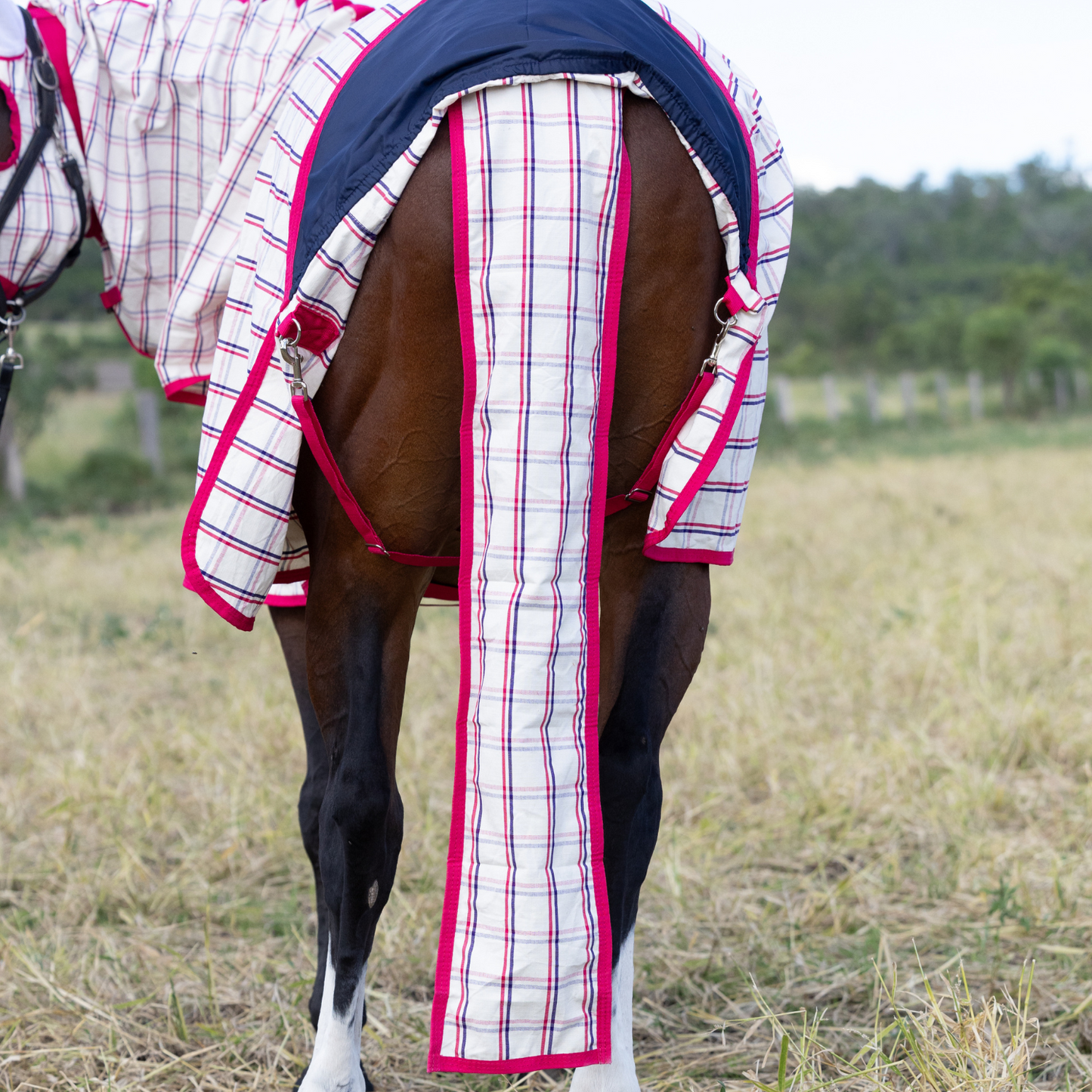 Earlwood Magenta Check Tail Bag