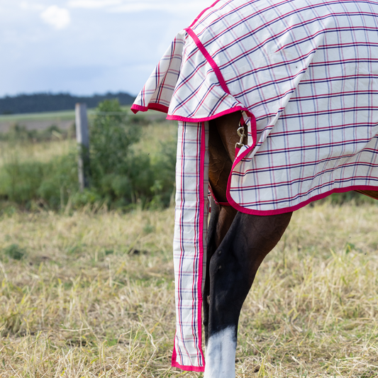 Earlwood Magenta Check Tail Bag